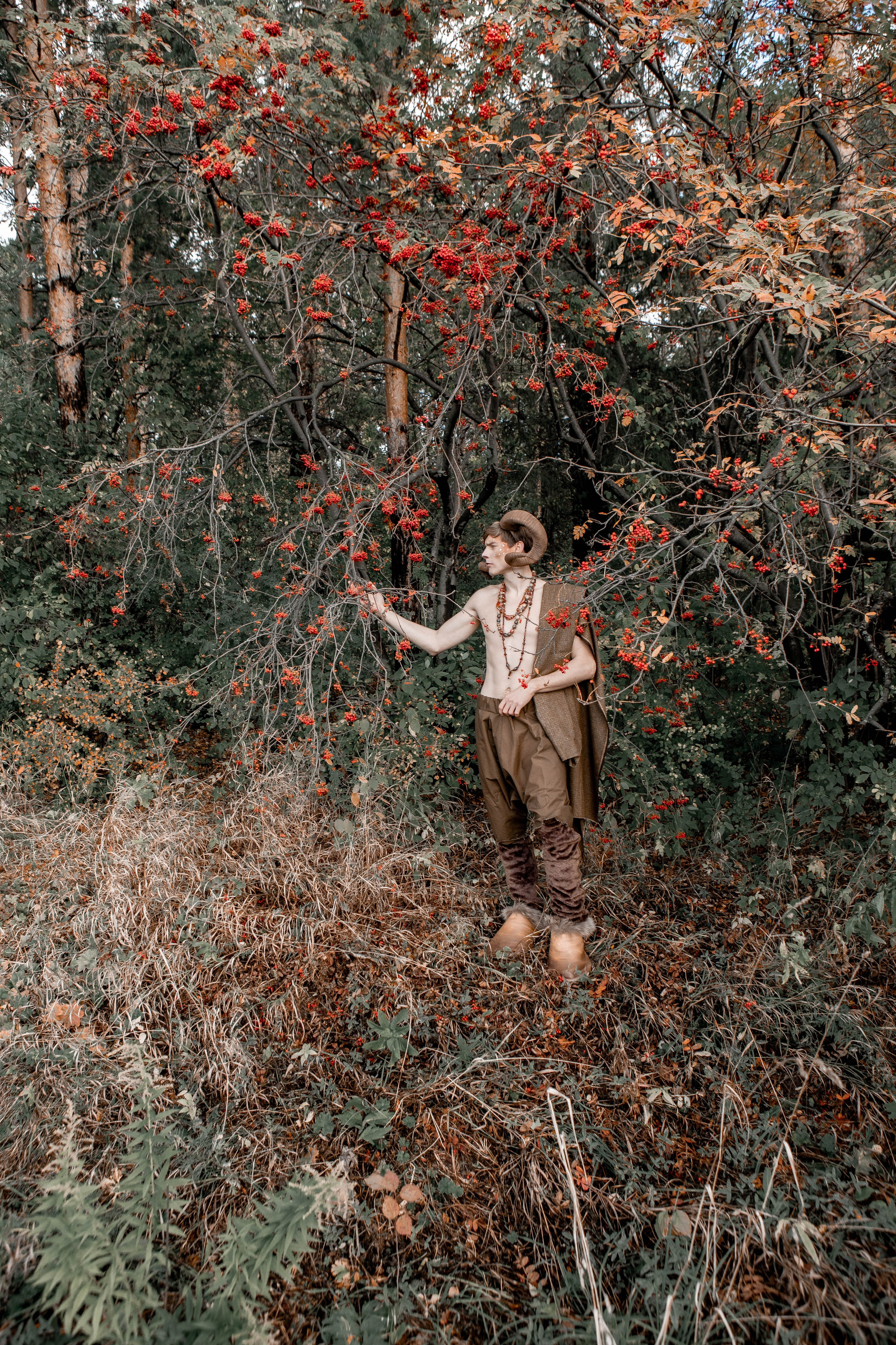 Волшебный лес. Фотограф Екатерина Голицына