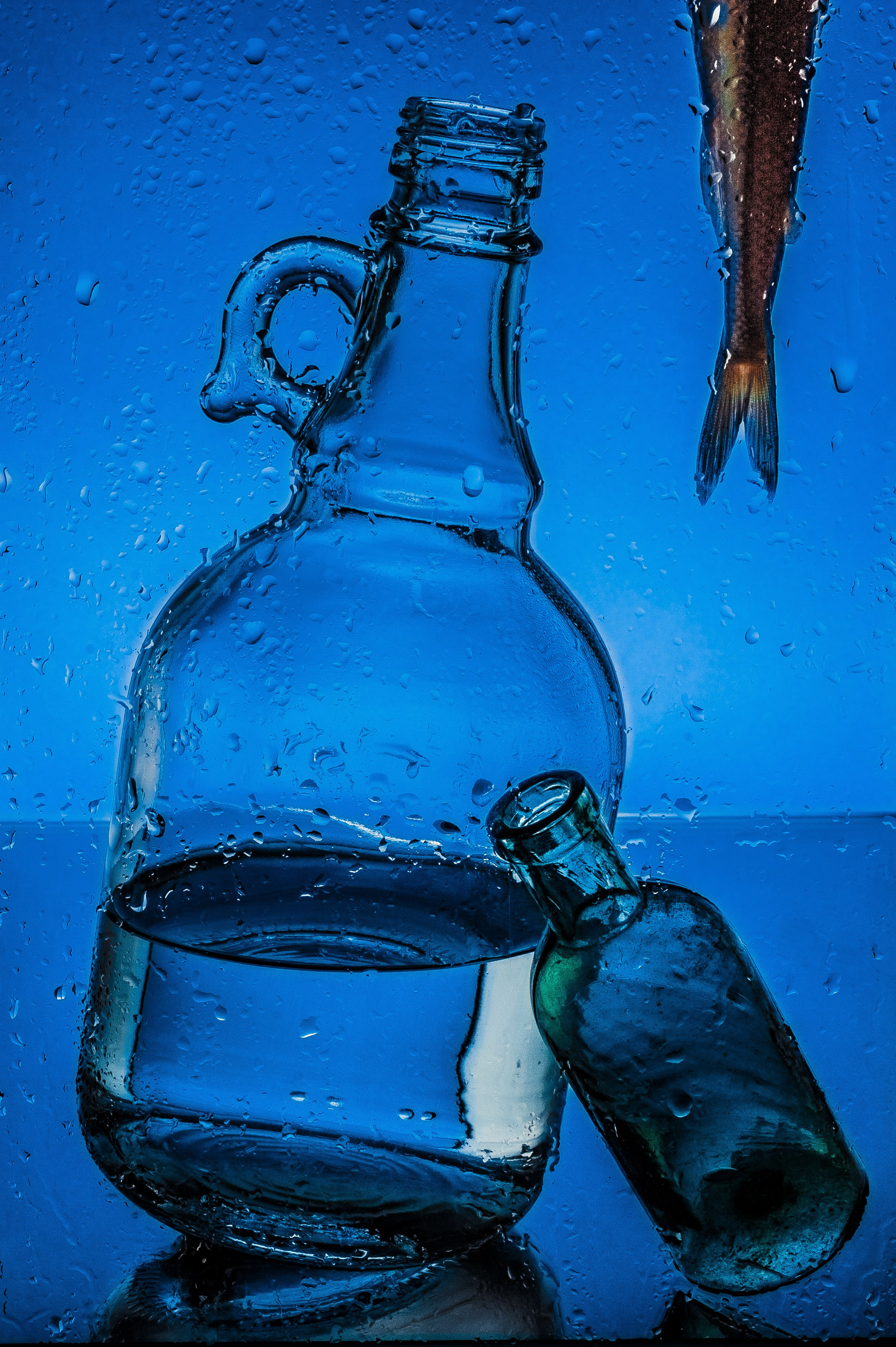 STUDIO. Спорт и свет | Лина Арнаутова