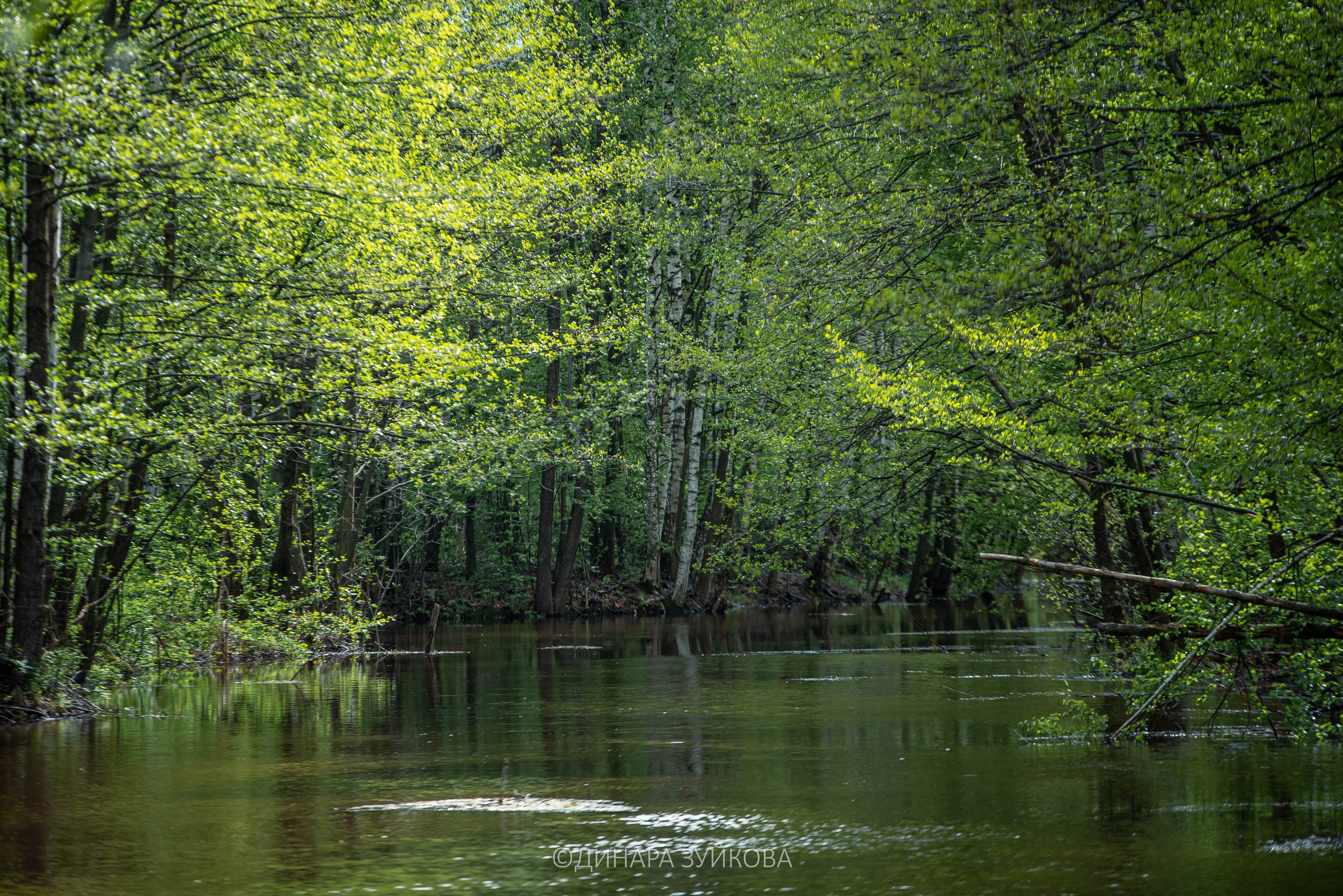 Природа. Мотофотограф в Нижнем Новгороде Динара Зуйкова