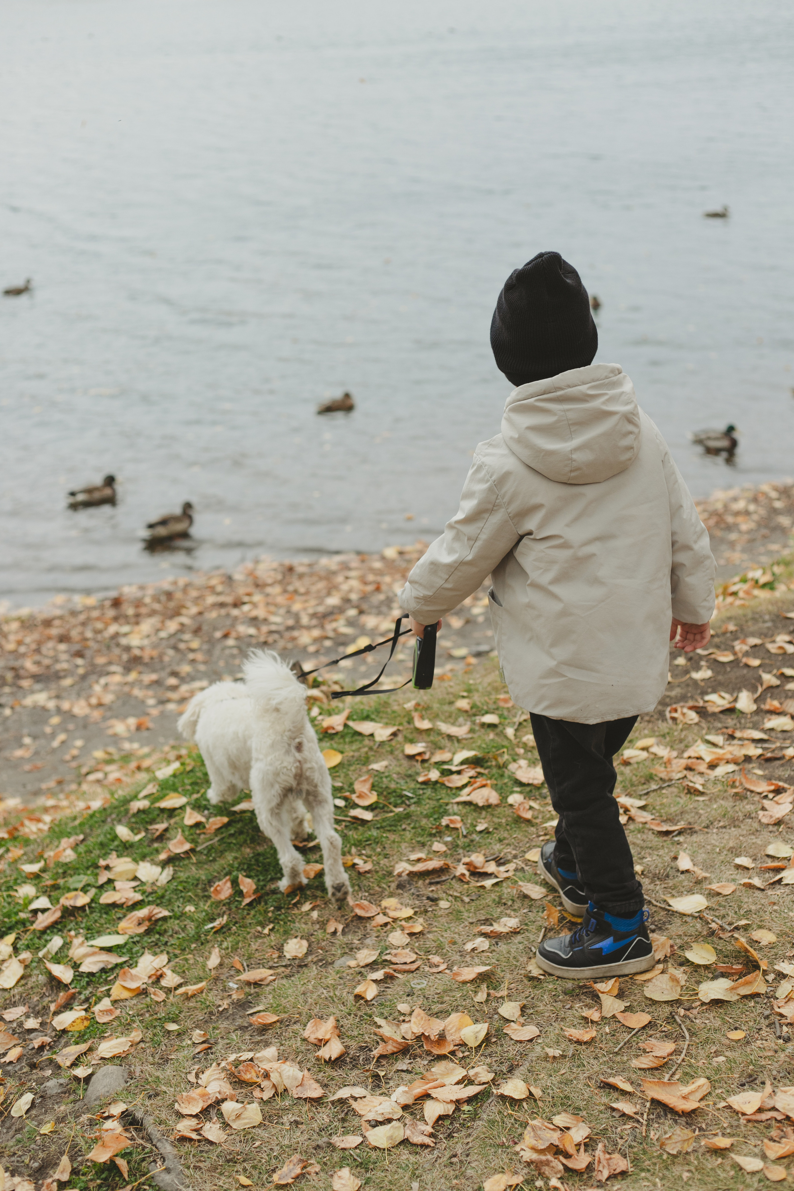 Любимые питомцы. Фотограф в Иркутске Тома Кабанова