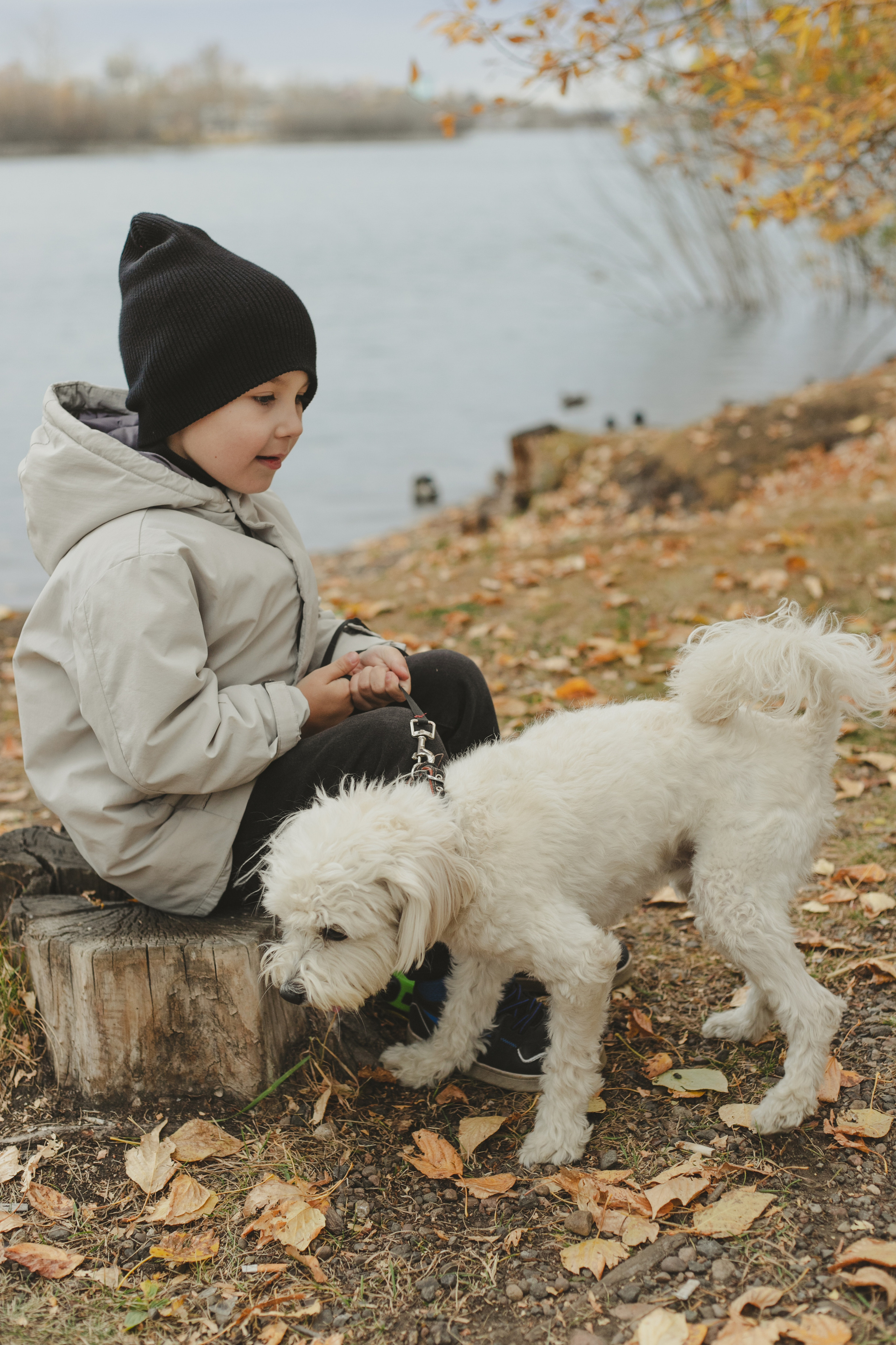 Любимые питомцы. Фотограф в Иркутске Тома Кабанова