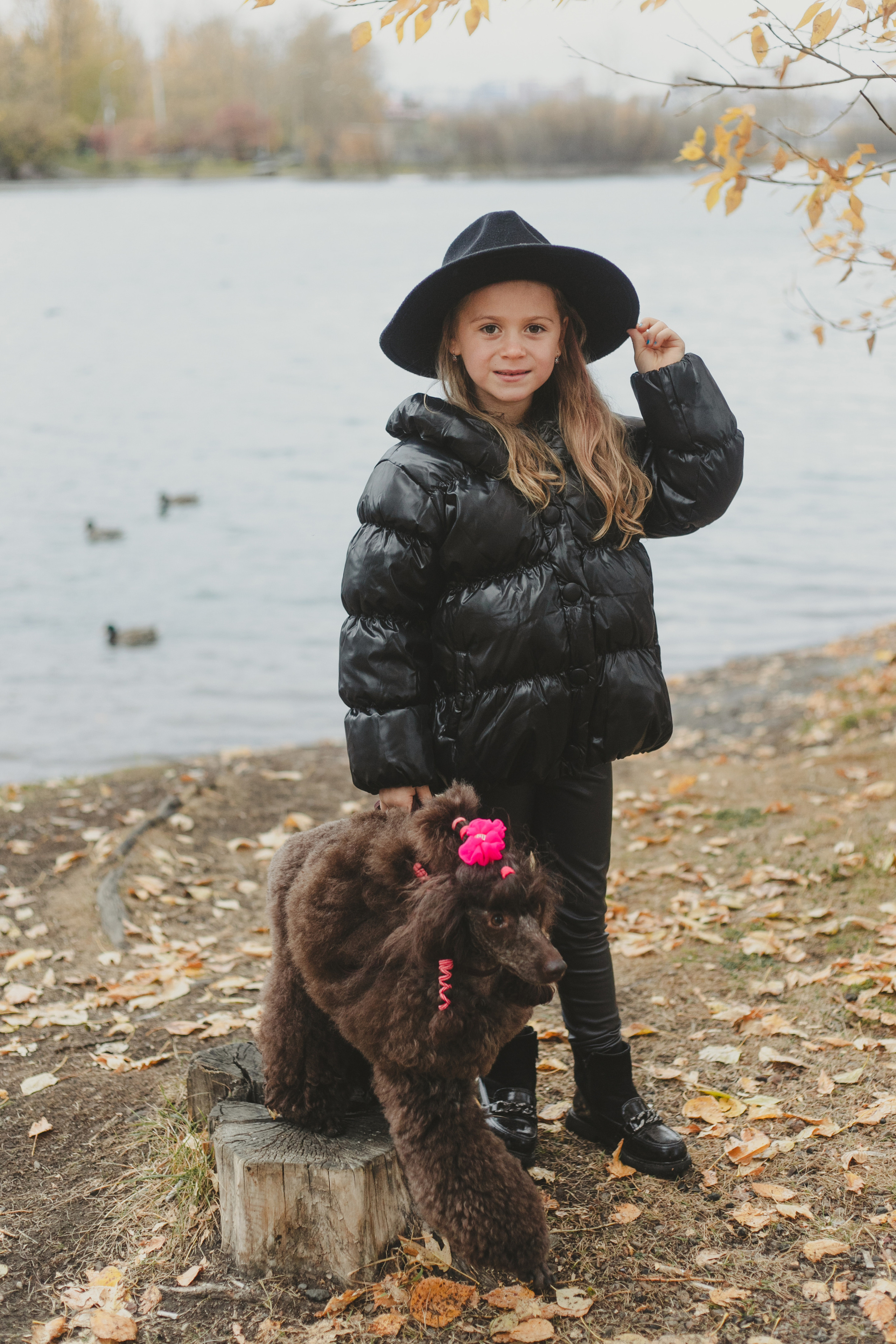 Любимые питомцы. Фотограф в Иркутске Тома Кабанова