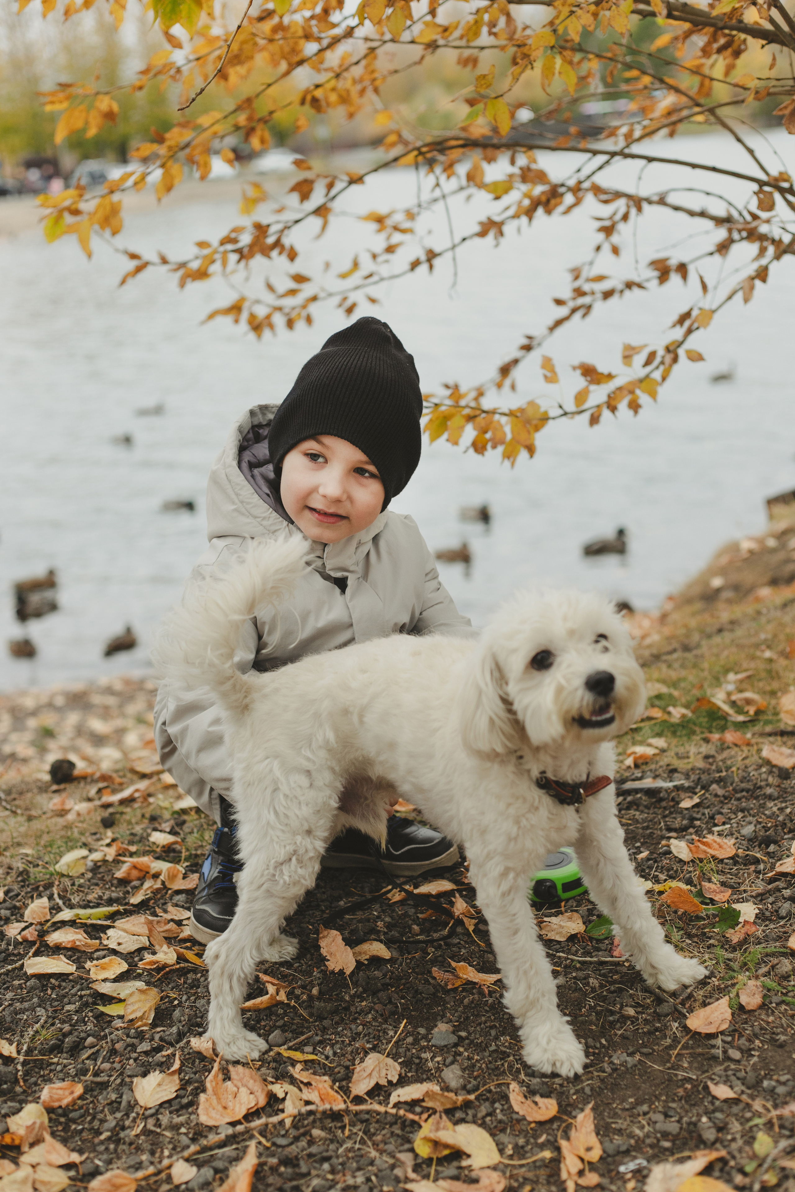 Любимые питомцы. Фотограф в Иркутске Тома Кабанова