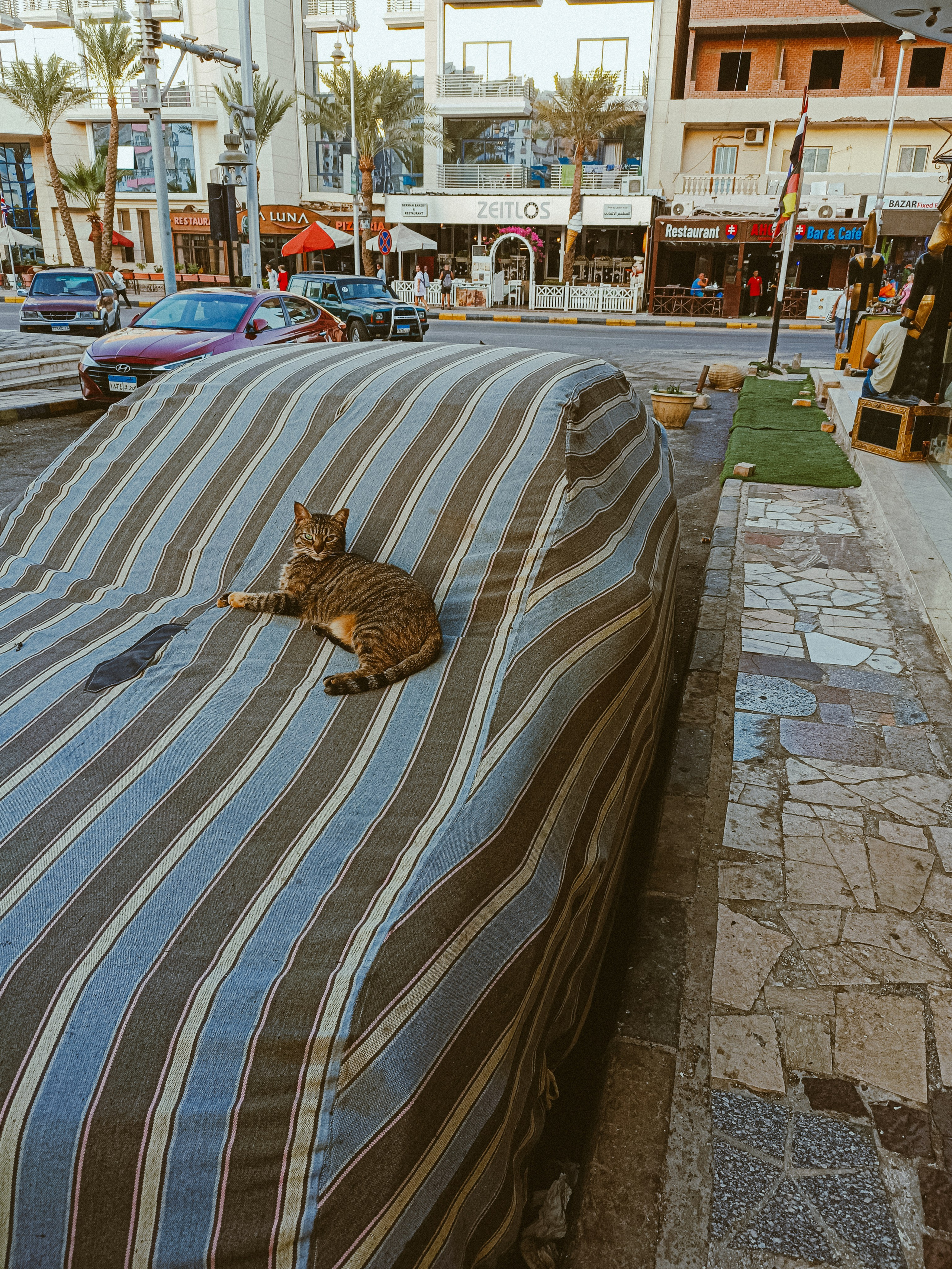 Мобильная. Jorgis — фотограф в Хургаде / обучение фотографии