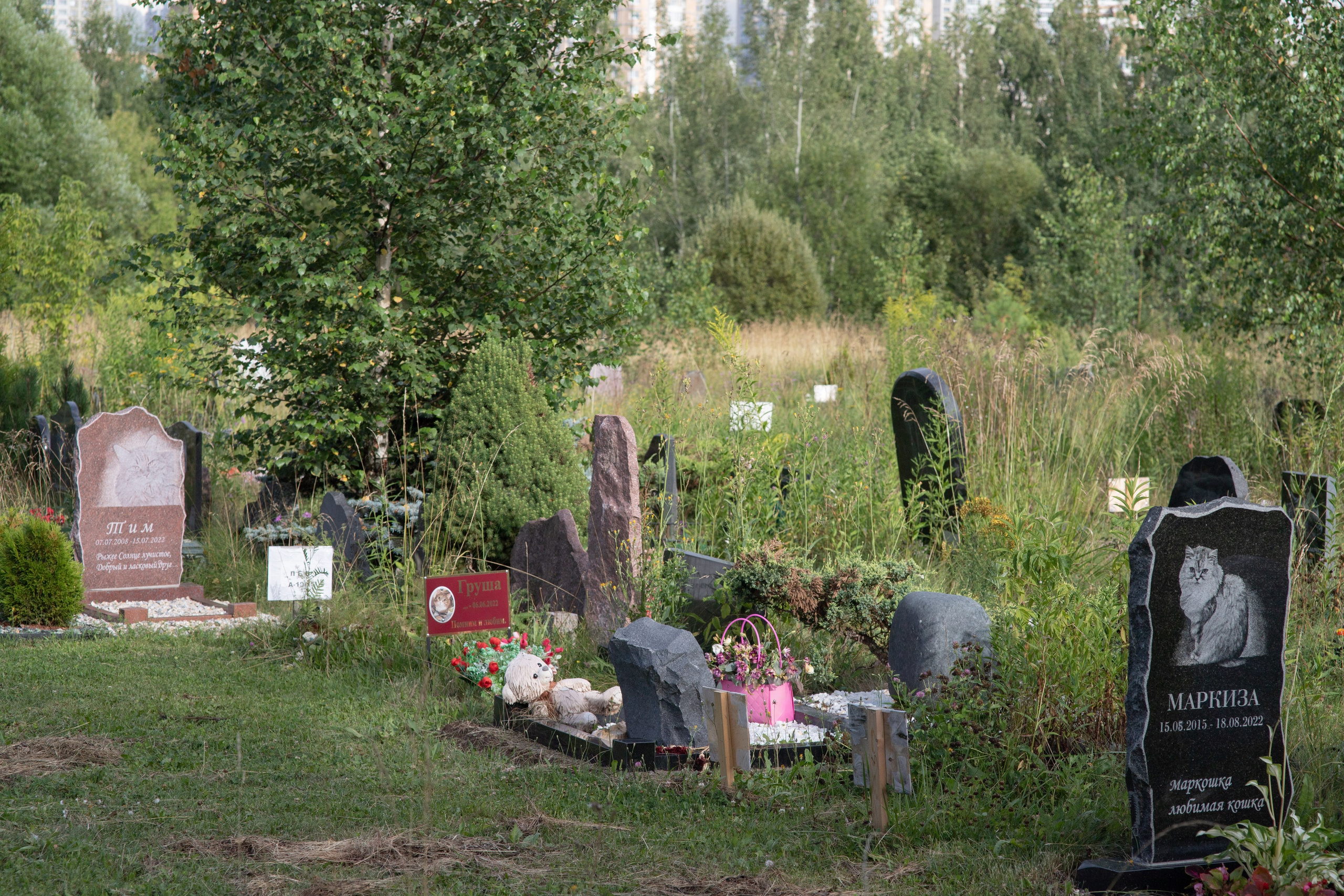 Пустота имеет место. Главная