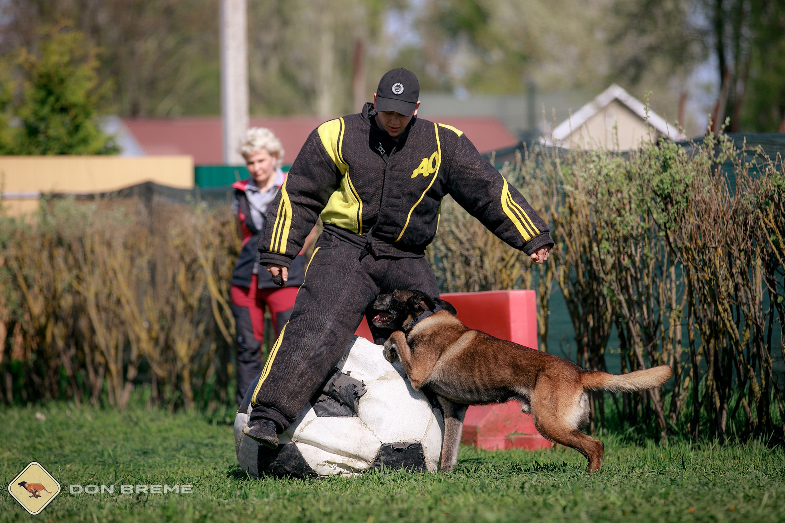 Семинар для фигурантов, день 4. Фотограф-анималист Mary Mart — Москва, Питер