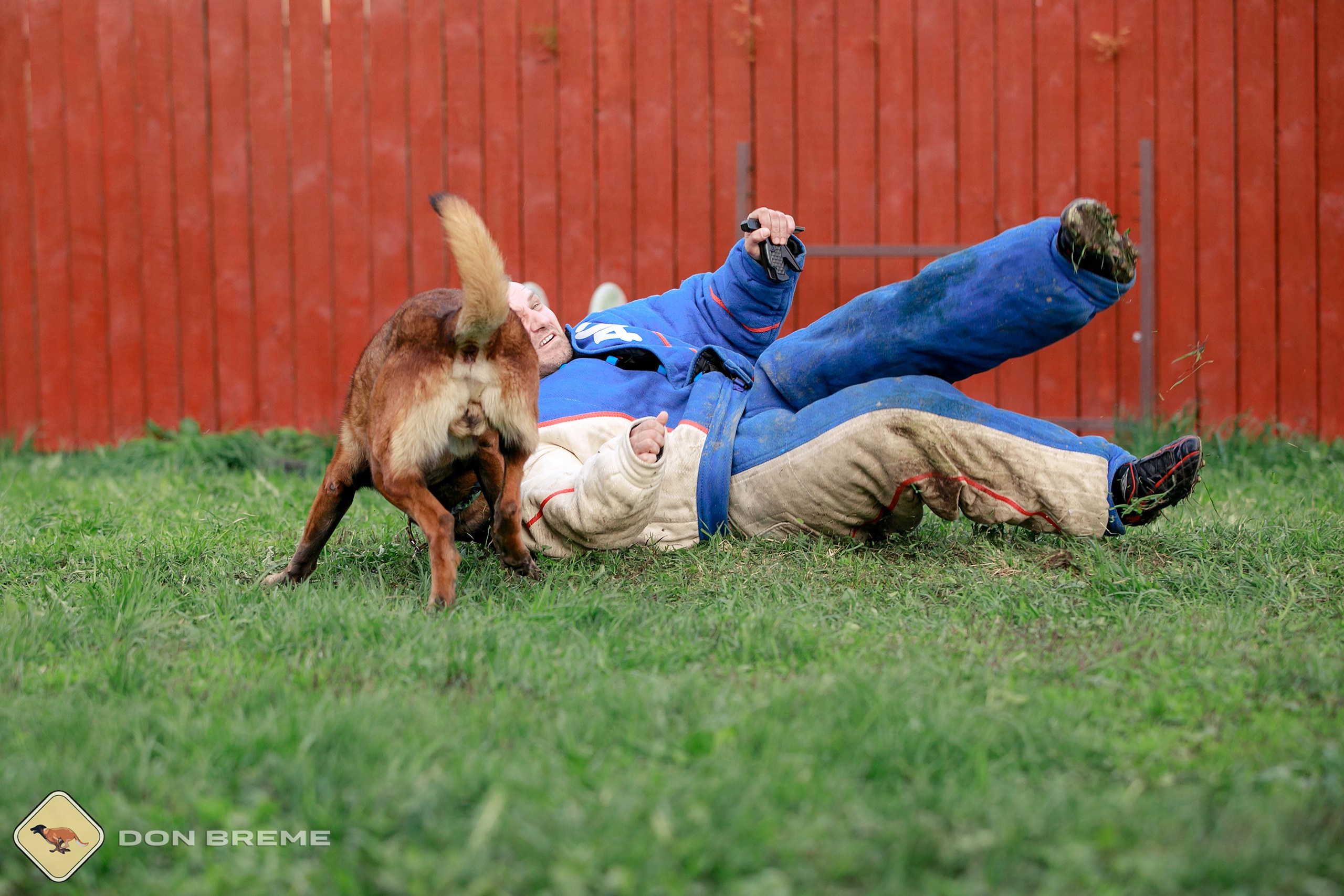 Семинар для фигурантов, день 2. Фотограф-анималист Mary Mart — Москва, Питер