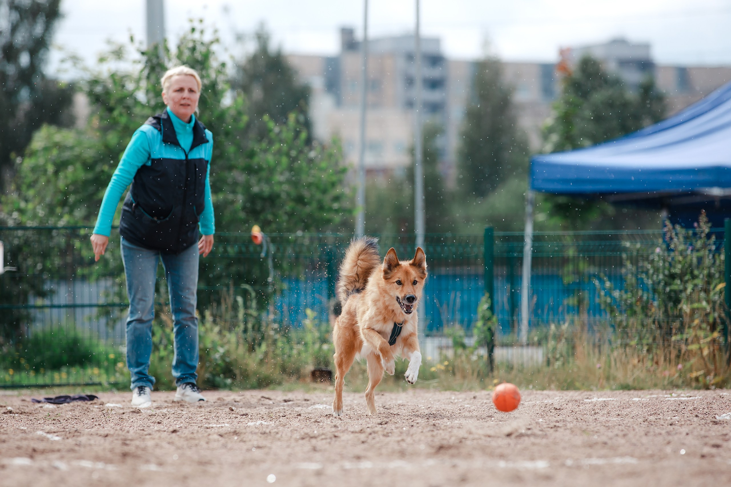 Питч&Гоу + веселые старты. Фотограф-анималист Mary Mart — Москва, Питер