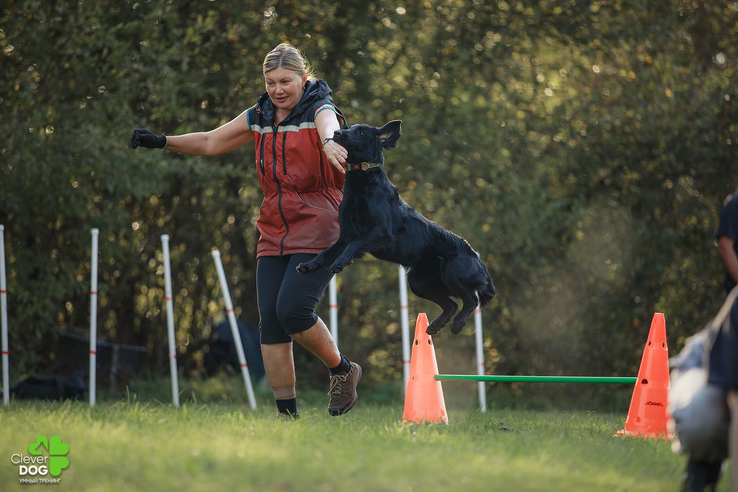 Кинологический лагерь CleverDog, 2024. Фотограф-анималист Mary Mart — Москва, Питер