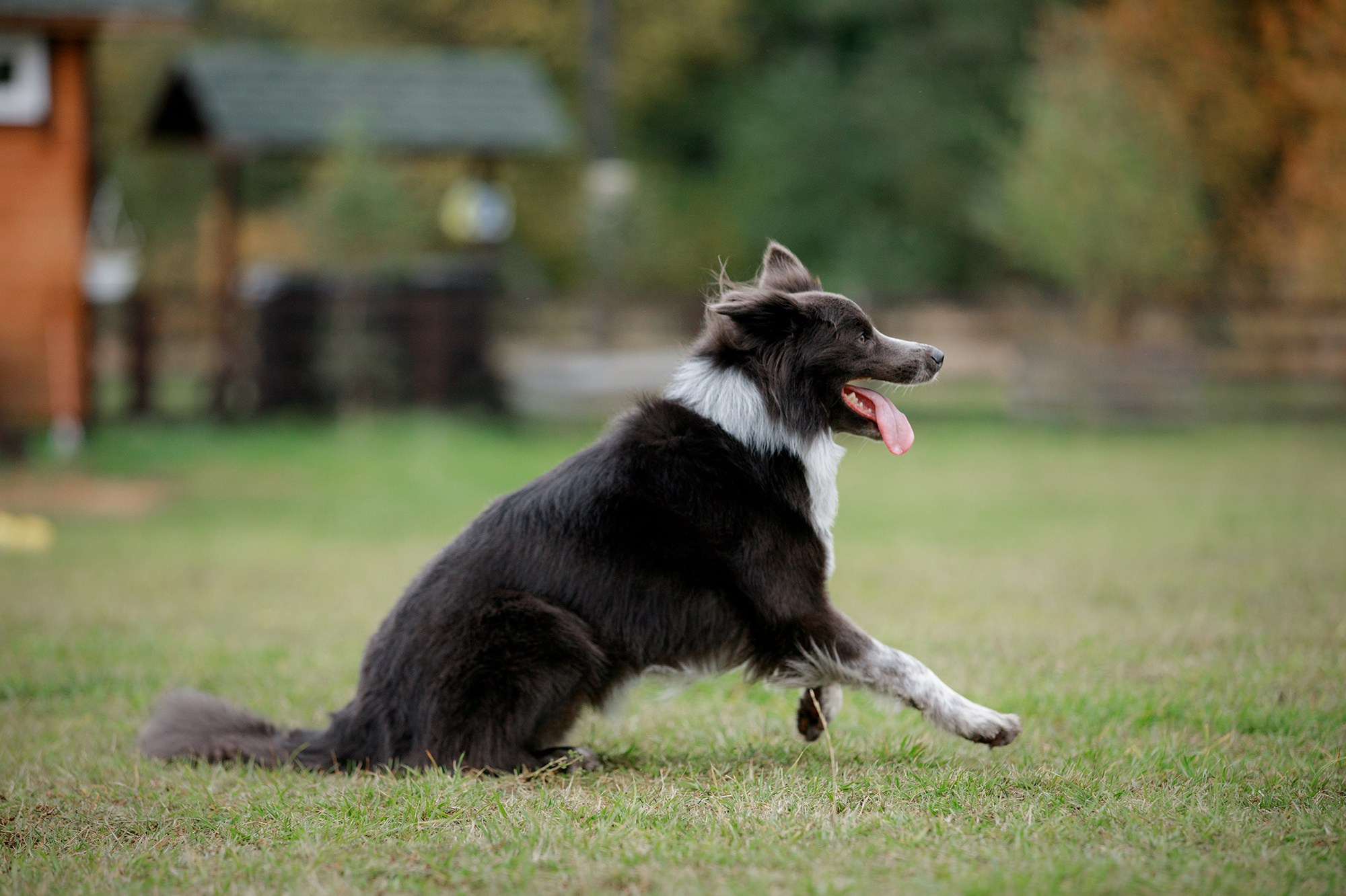Лагерь по ОБД с Инной Баженовой. Фотограф-анималист Mary Mart — Москва, Питер