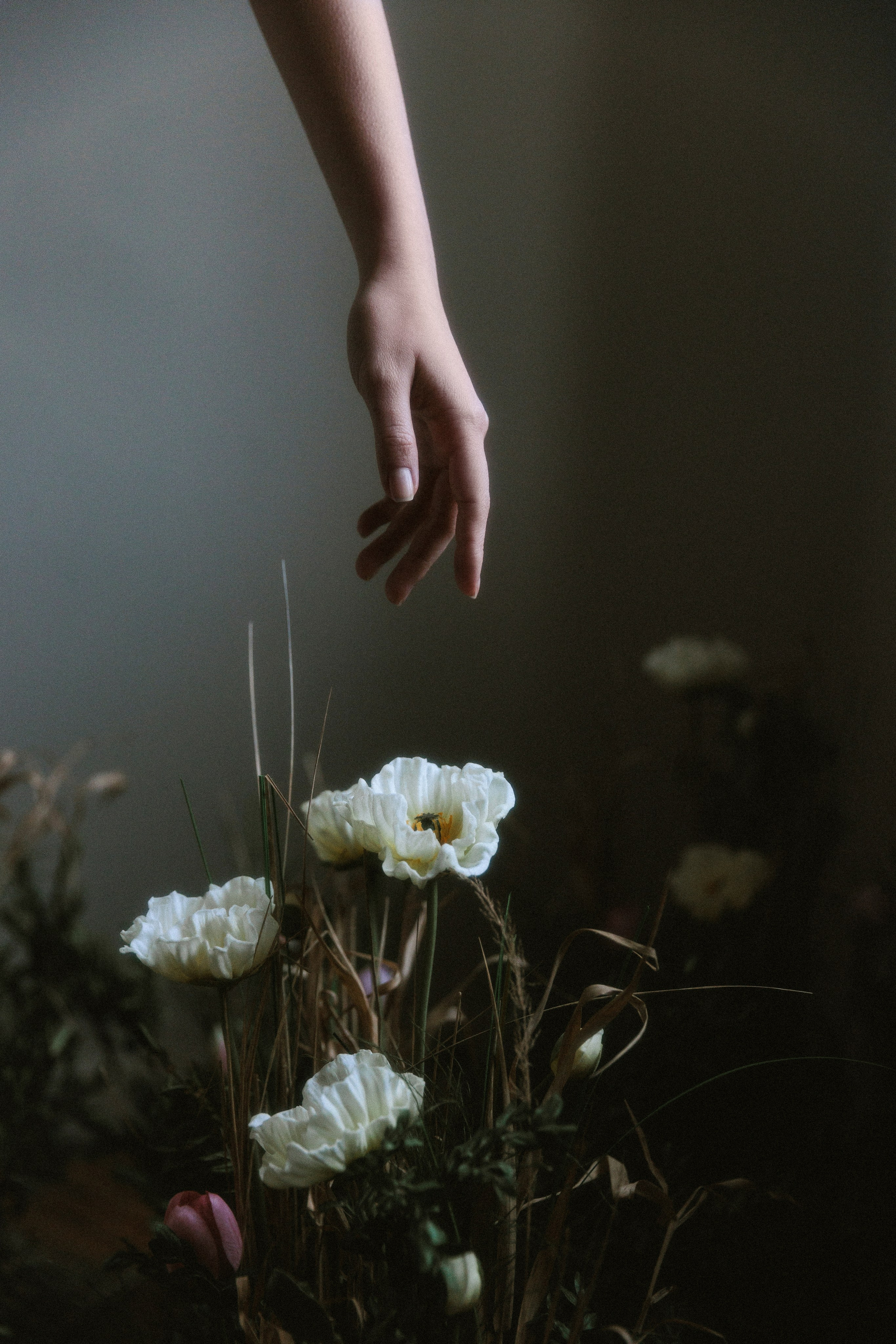 Катя. Фотограф в Москве Людмила Малова