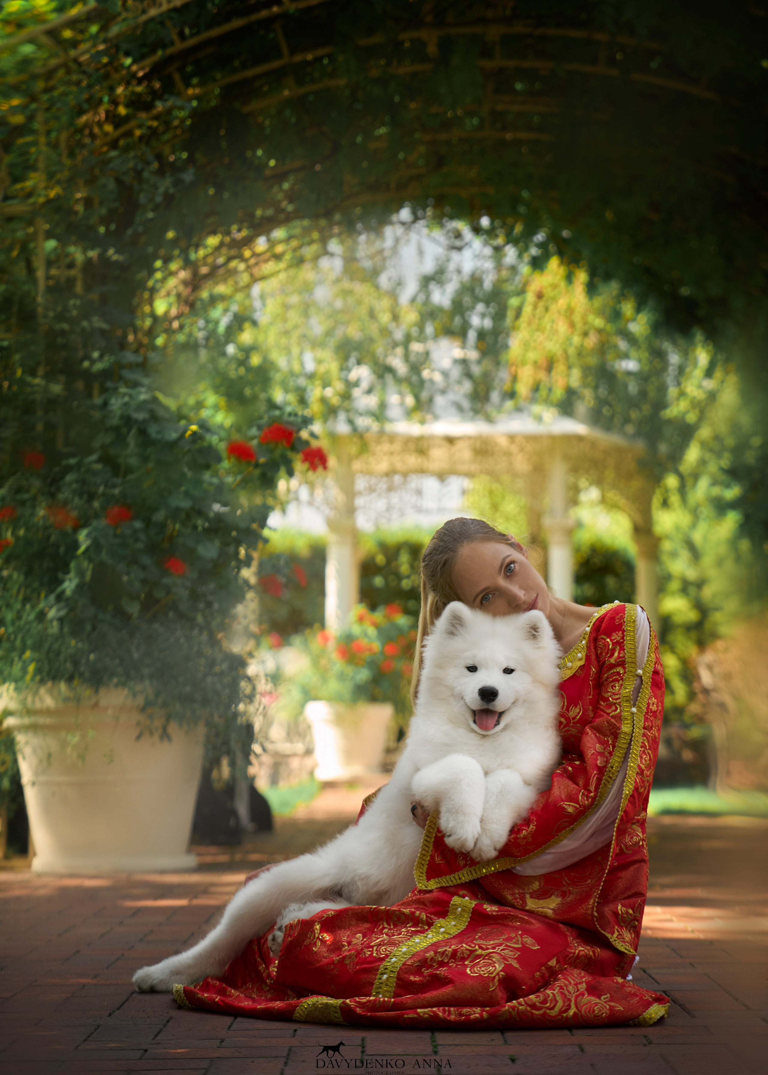 Собаки и люди