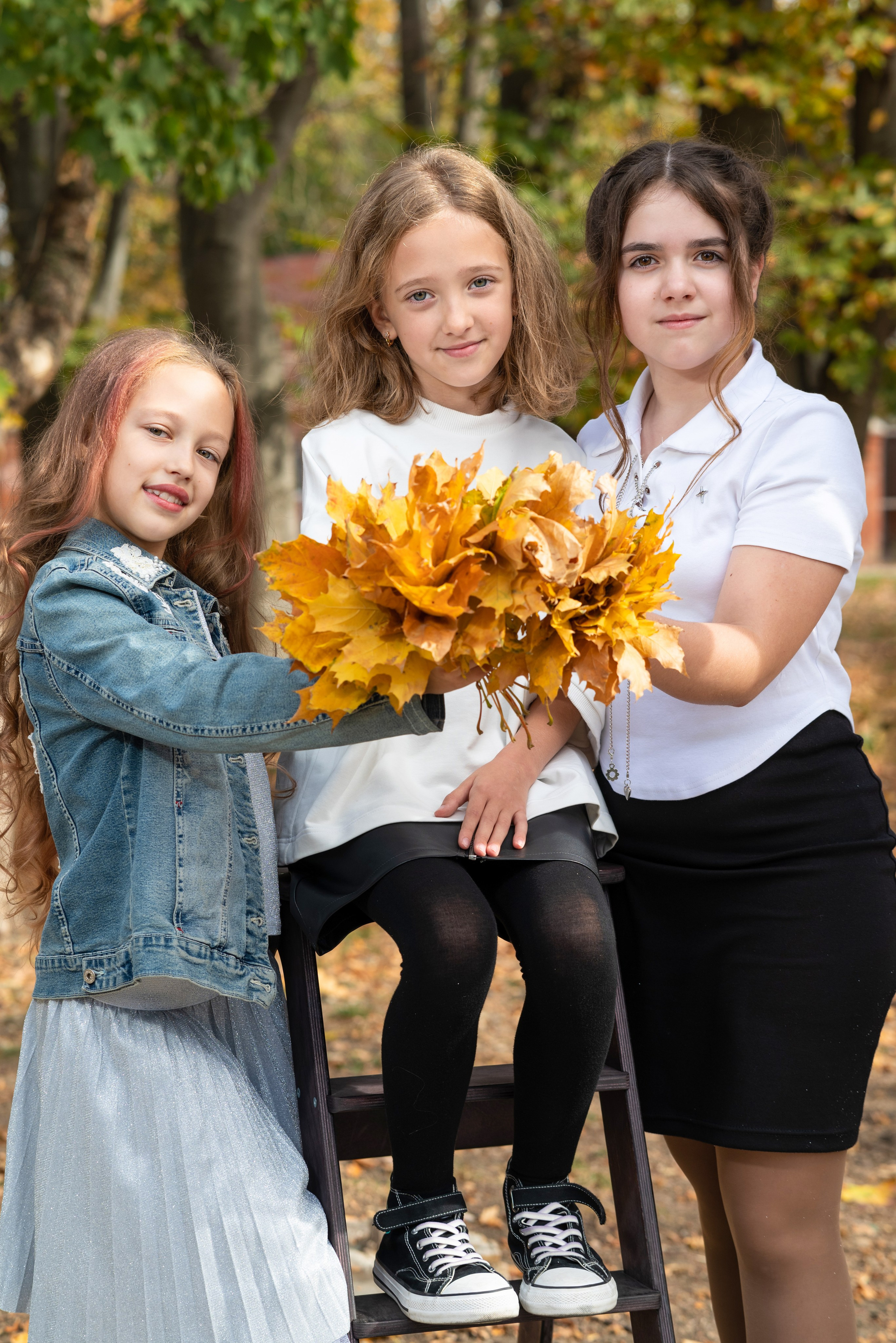 виньетка фото