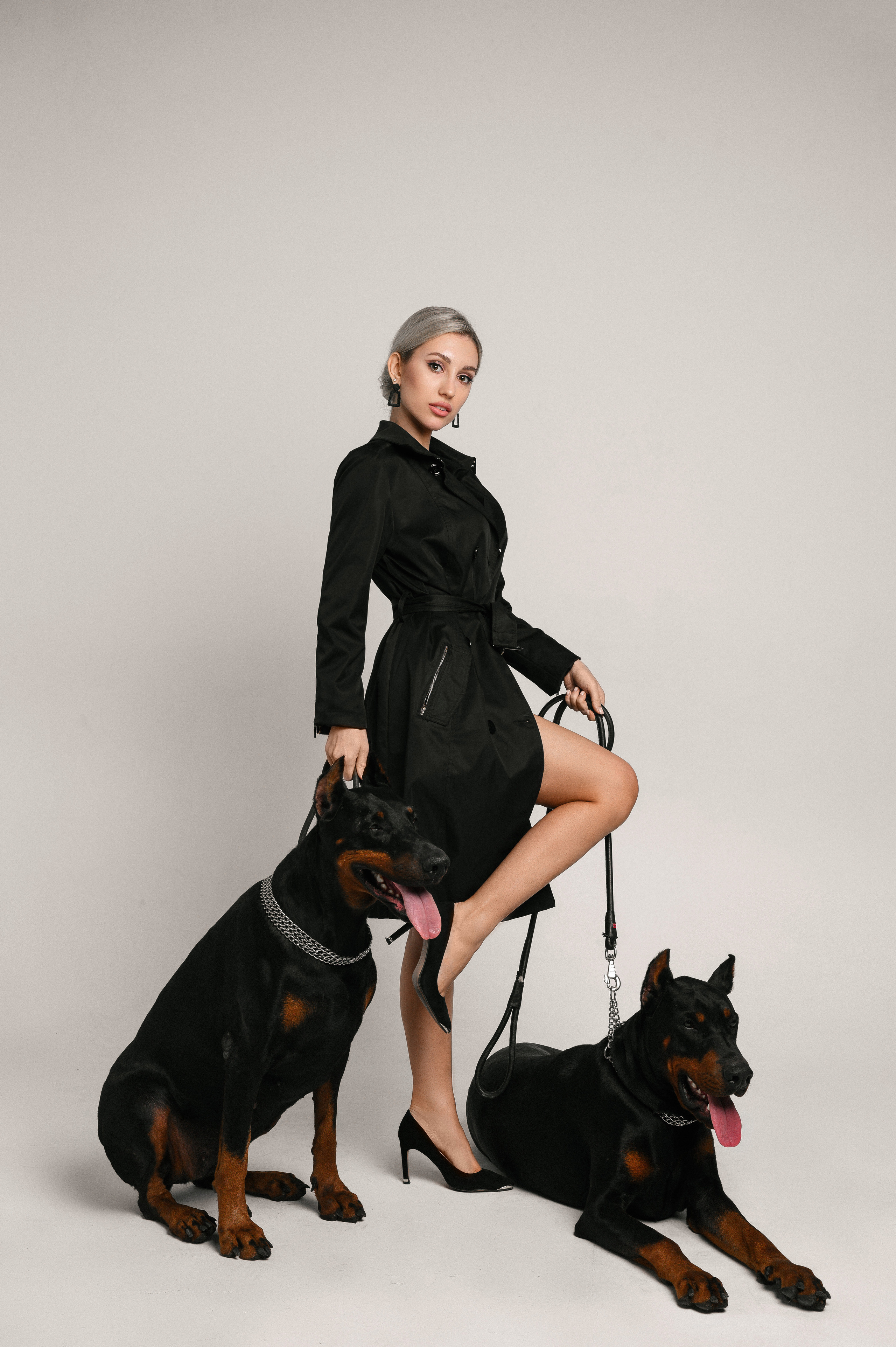 Фотосессия на циклораме с доберманами в Оренбурге