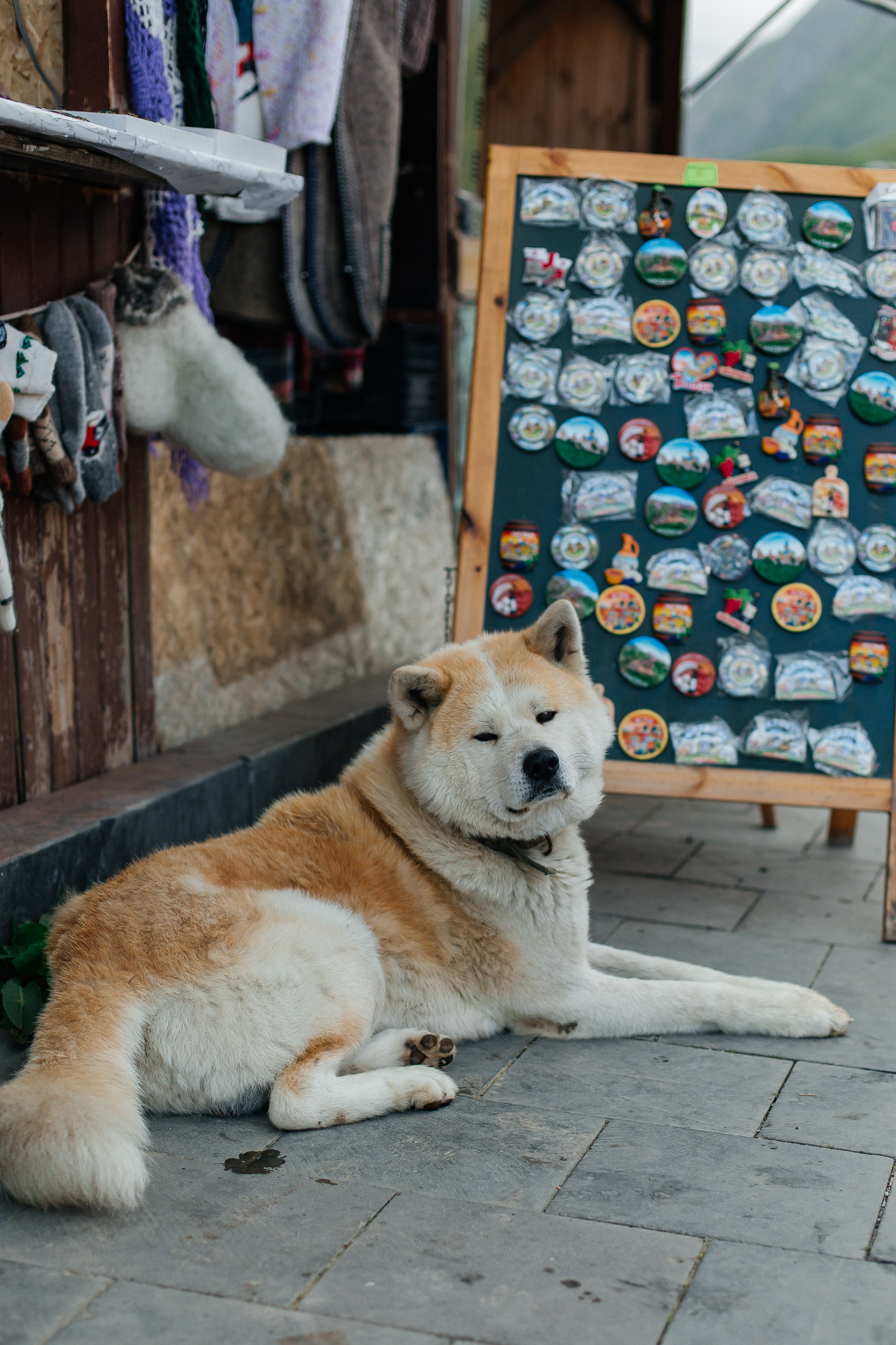 Тур в Грузию