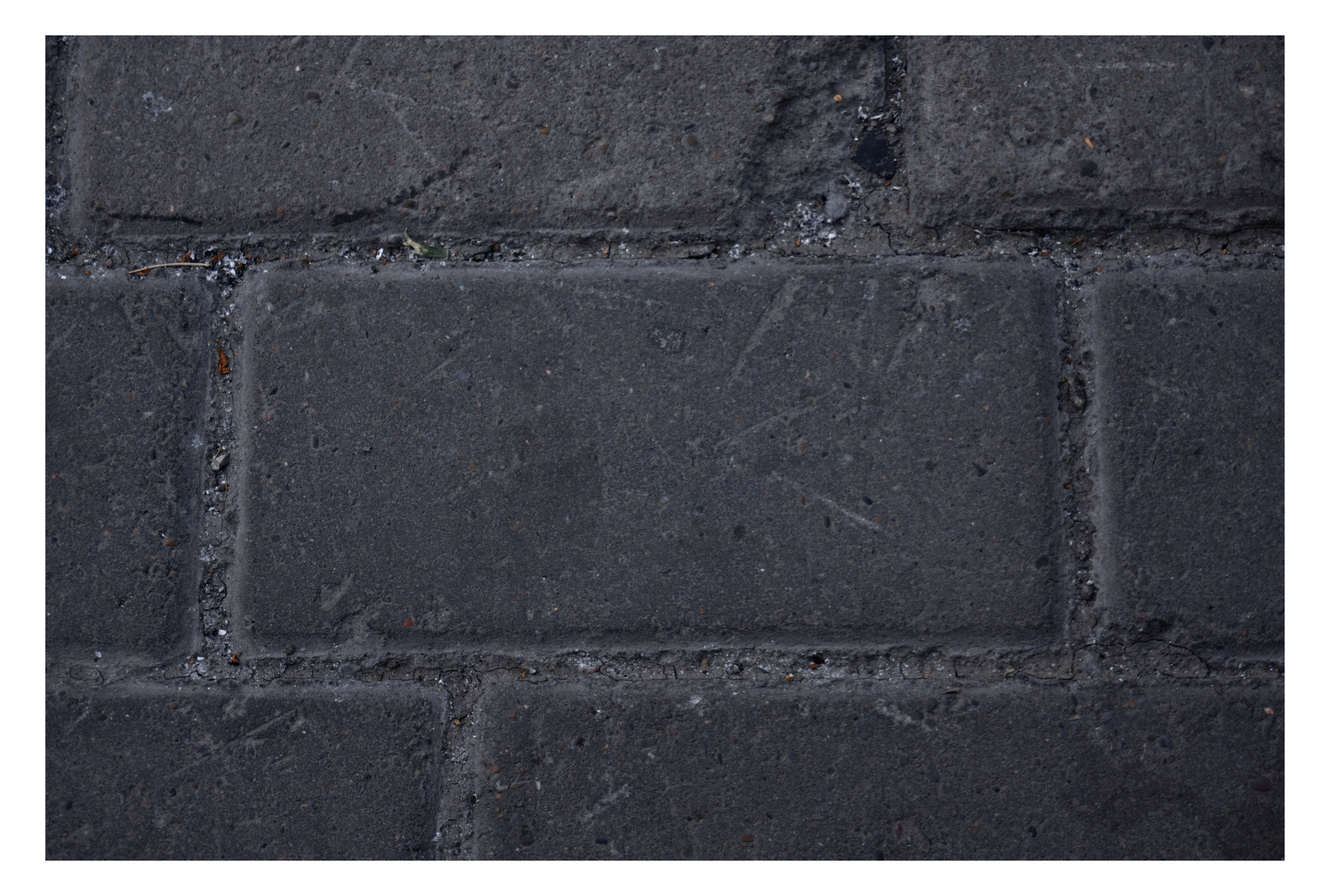 02.07.2025 | Красноярск. Kuznetsov | Фотограф в Красноярске