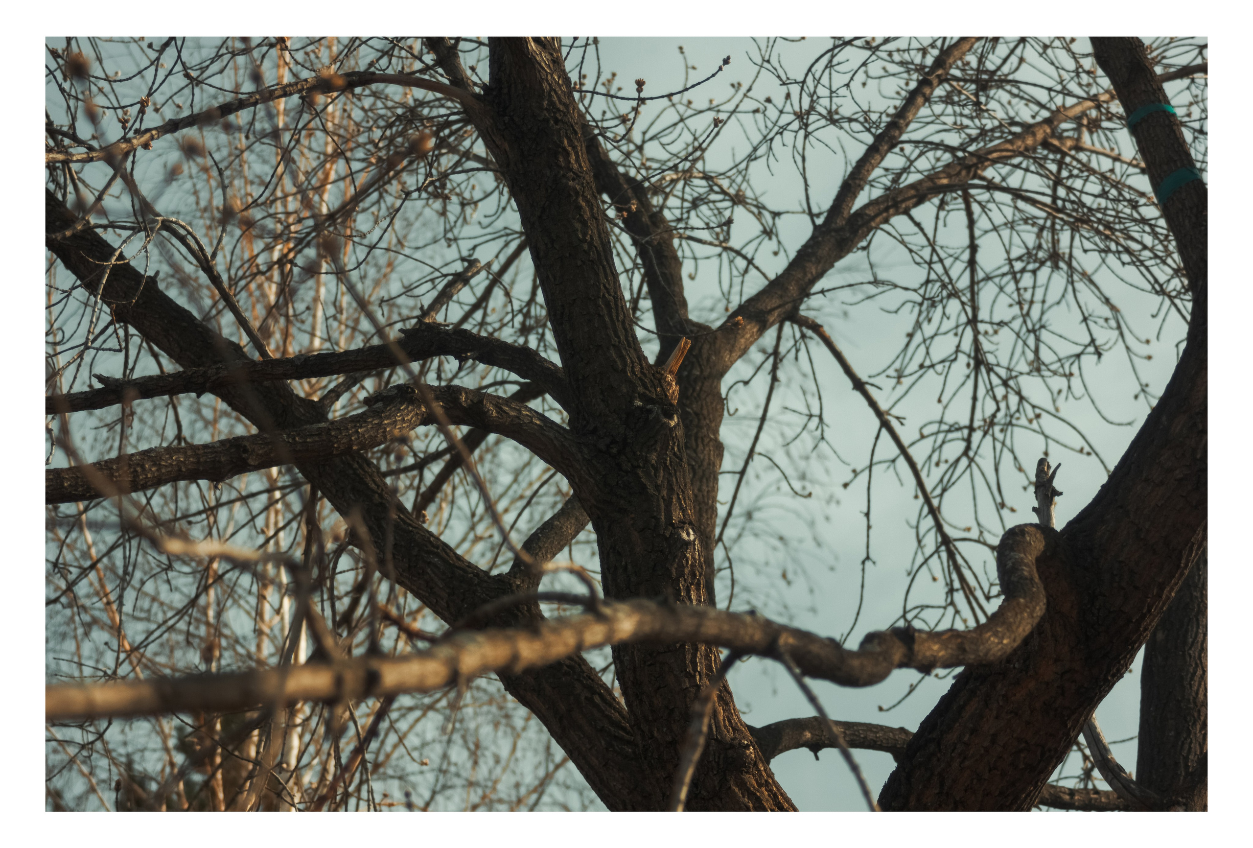 12.04.2025 | Сосновоборск. Kuznetsov | Фотограф в Красноярске