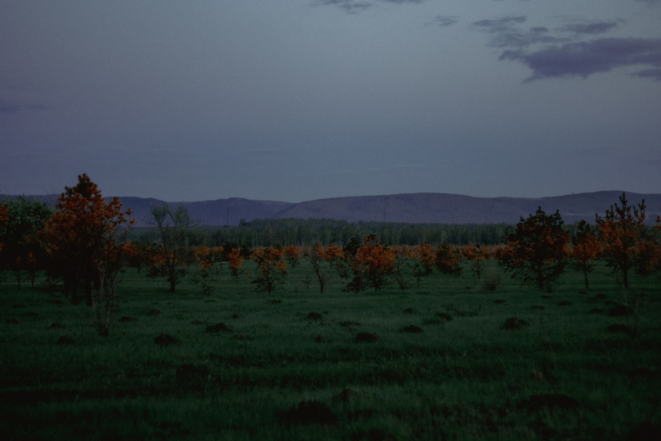 15.05.2025 | Сосновоборск. Kuznetsov | Фотограф в Красноярске
