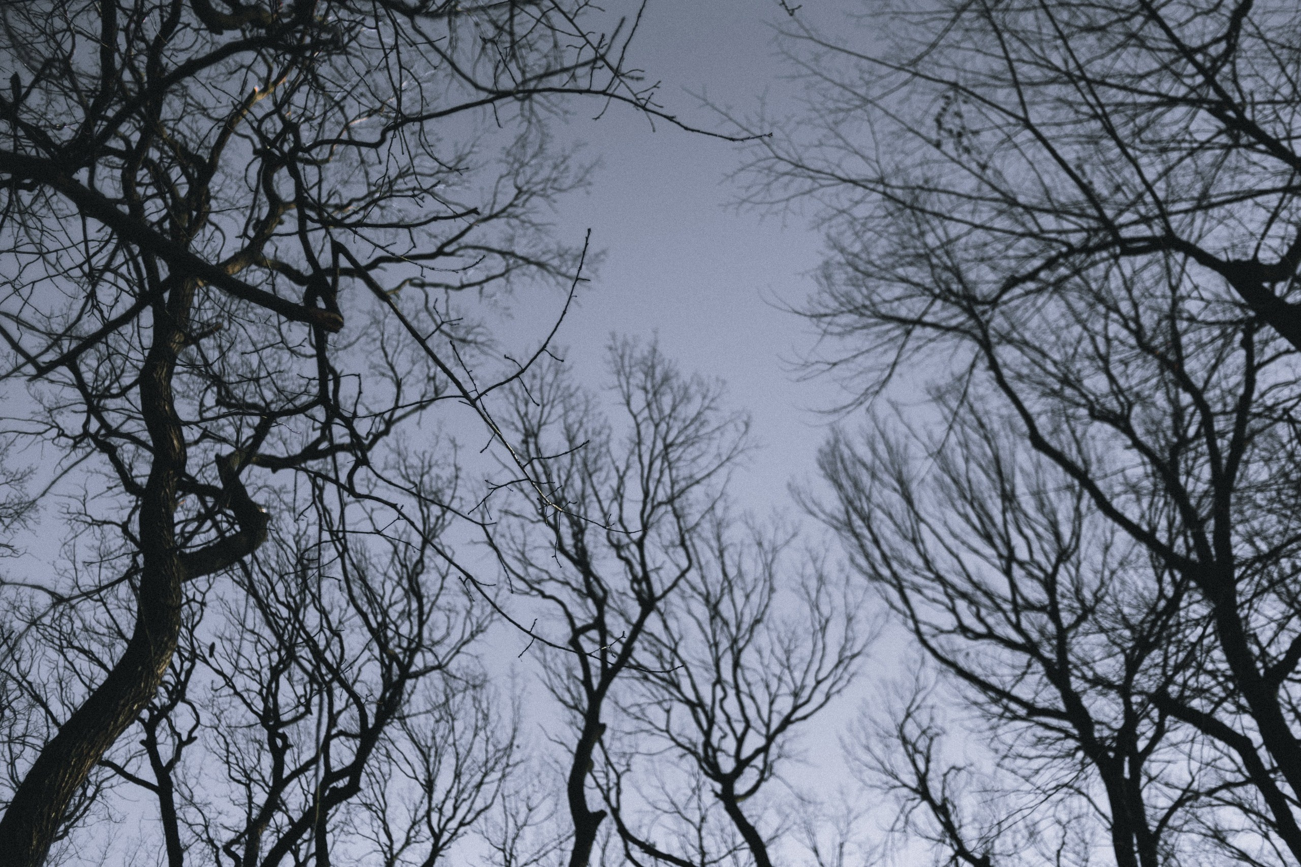 Улица горизонтальная. Jorgis — фотограф в Хургаде / обучение фотографии