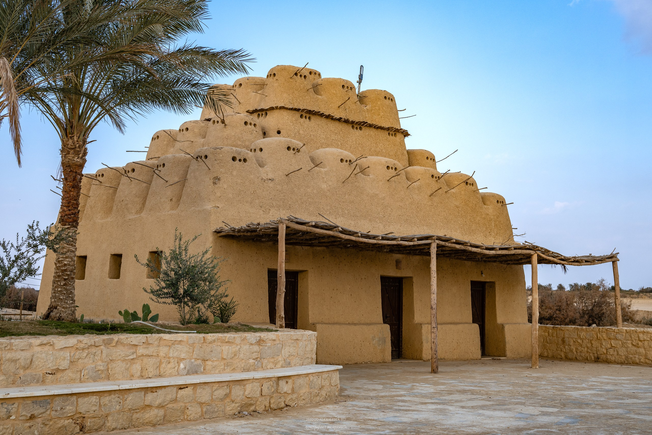 Снова в пустыню, за скелетами…. Авторские стильные фотокартины