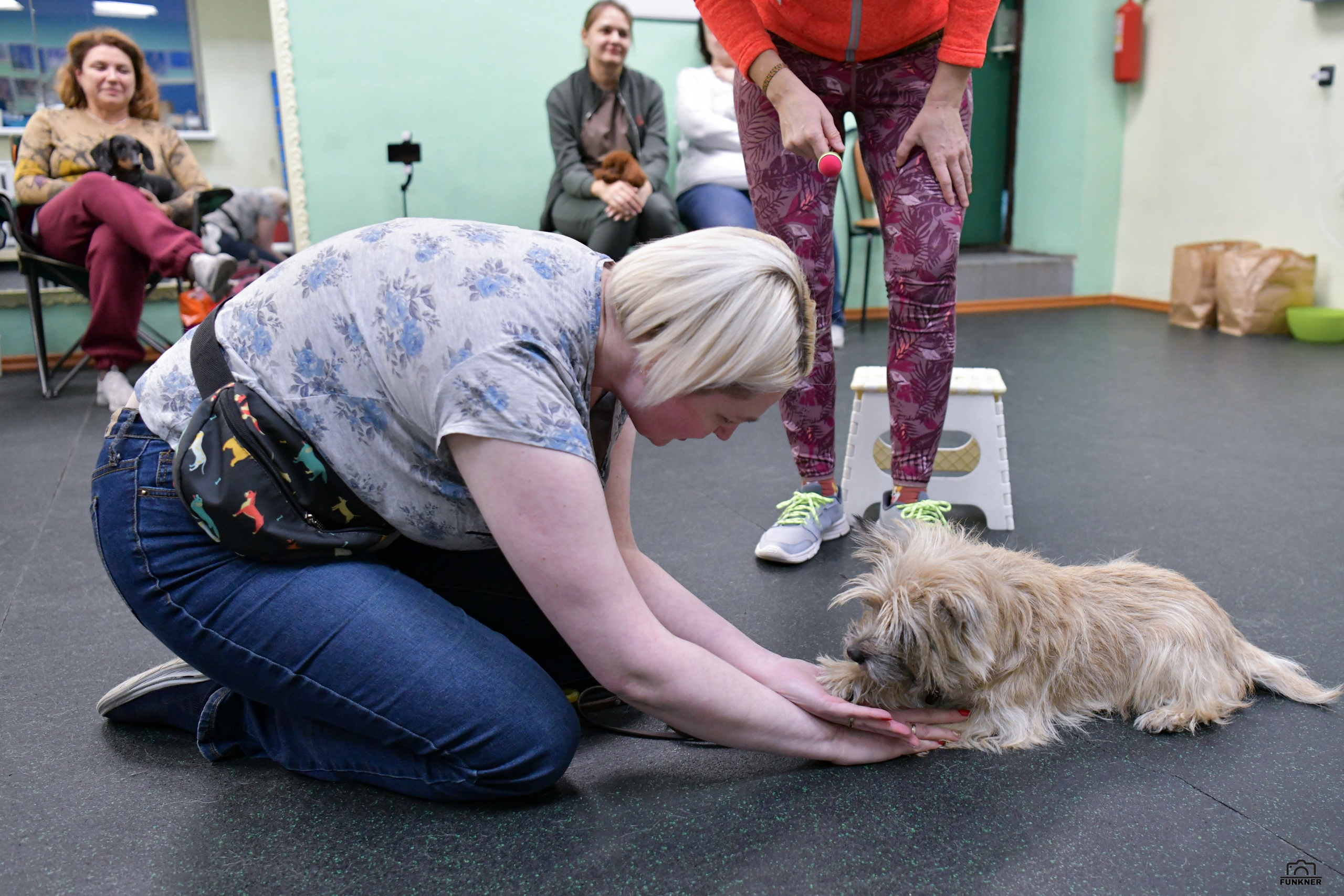 Кинологический клуб «Бодрый хвост». Свой взгляд через объектив