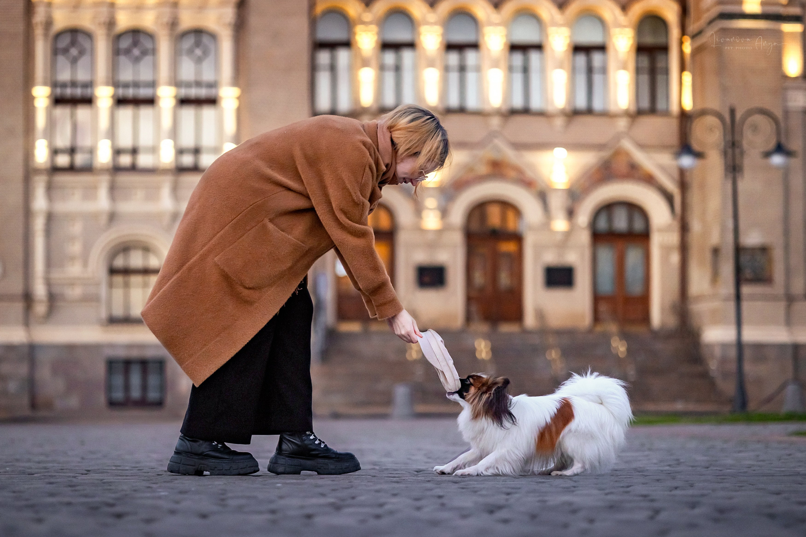 Хьюстон. Фотограф анималист Аня Ливанова | Рыбинск