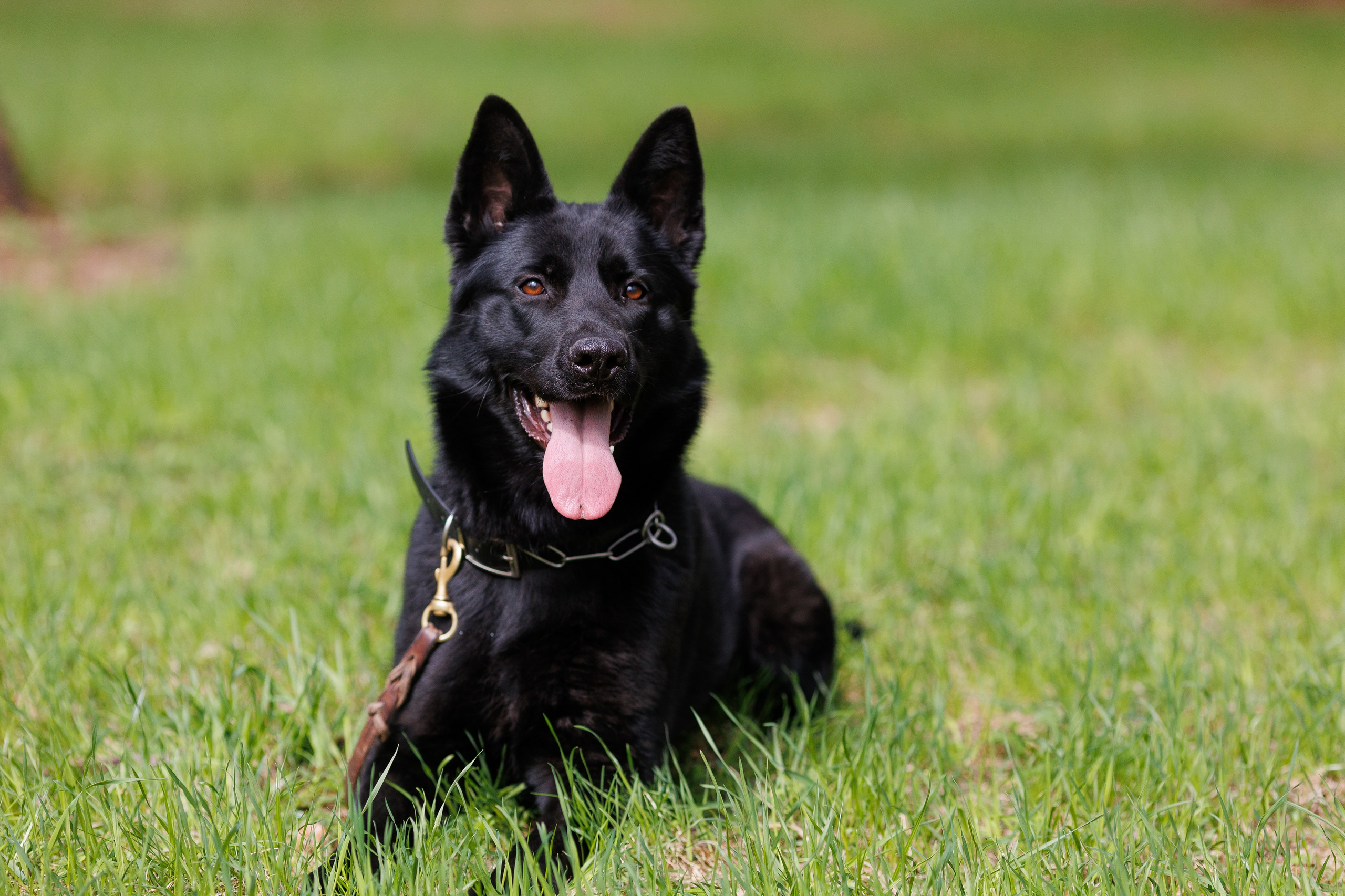 Репортажный фотограф Борис Геер