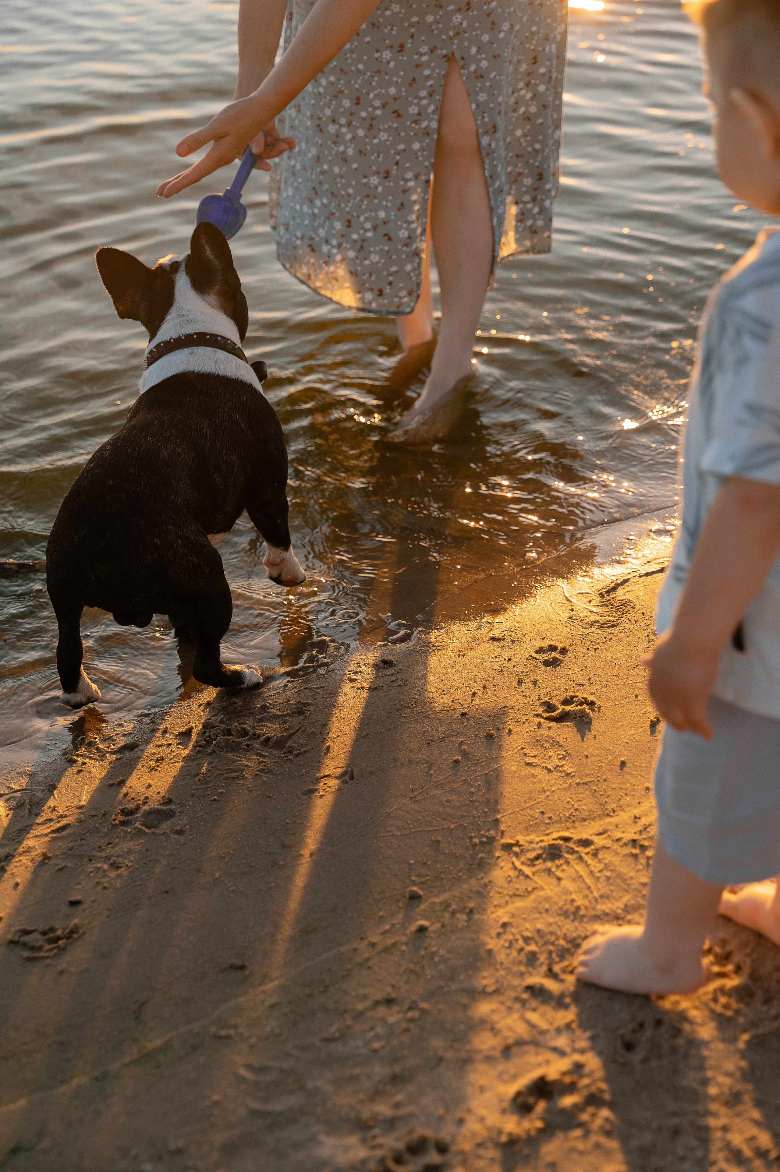 Уличная летняя семейная фотосессия. Свадебный и семейный фотограф в Чебоксарах Ирина Левнер