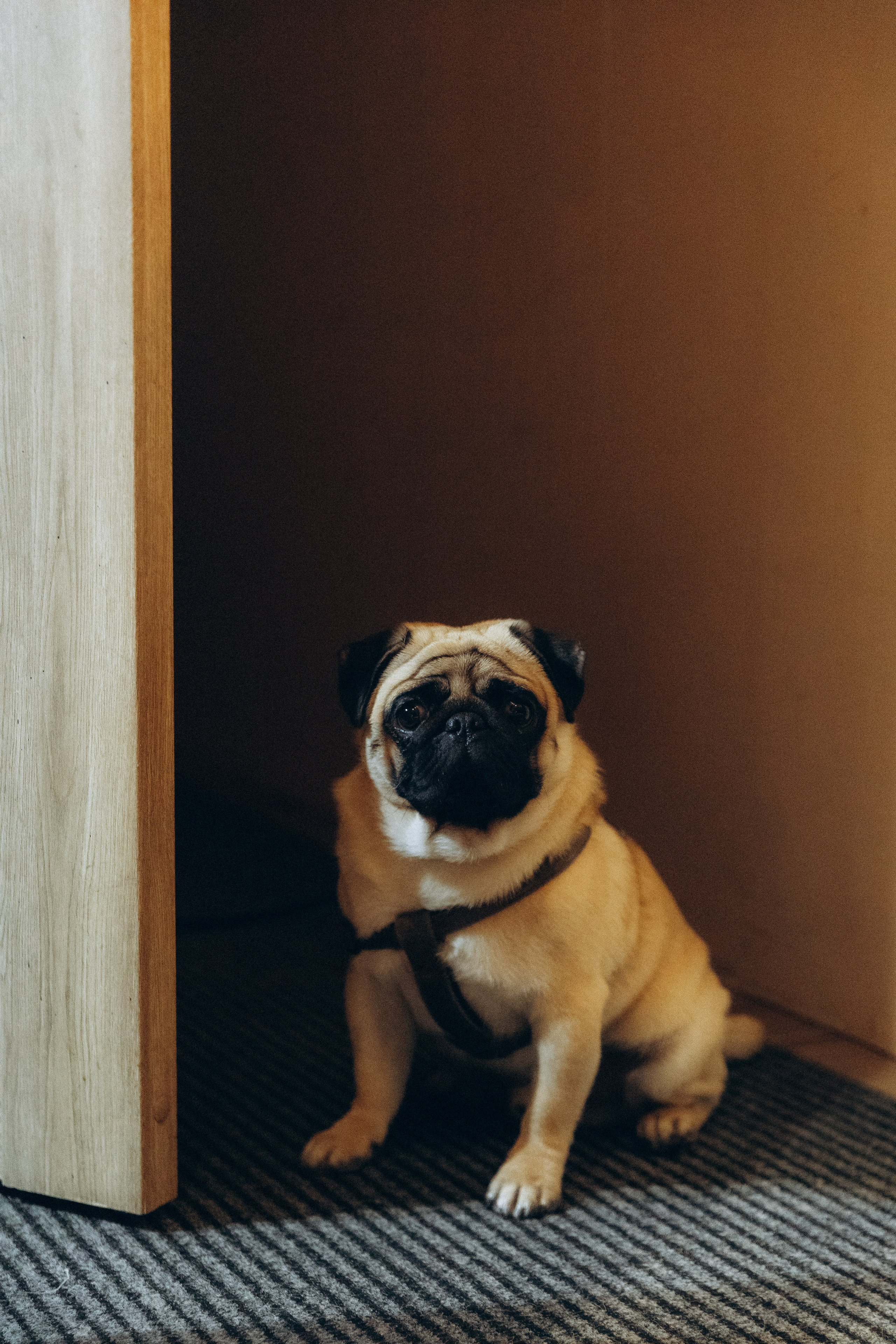 Эллина и Алексей. Свадьба в усадьбе. Алена Бадамшина — свадебный фотограф Воронеж / Москва