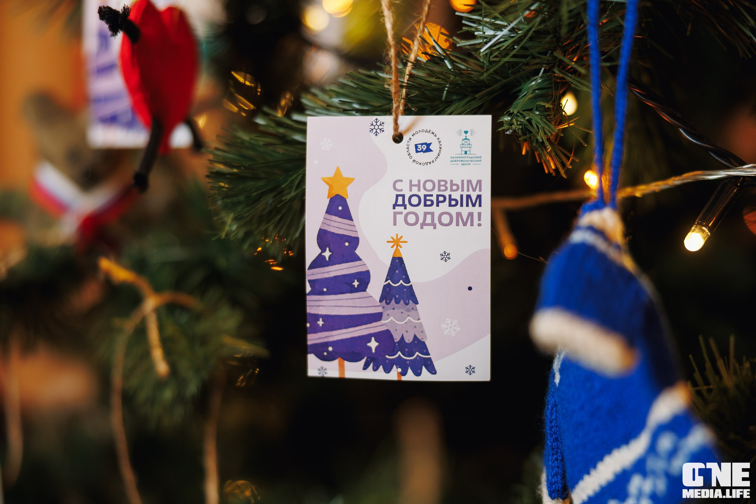 Фоторепортаж с XI Областного добровольческого форума. One Media Life: фоторепортажи, фотоотчеты с мероприятий и заведений