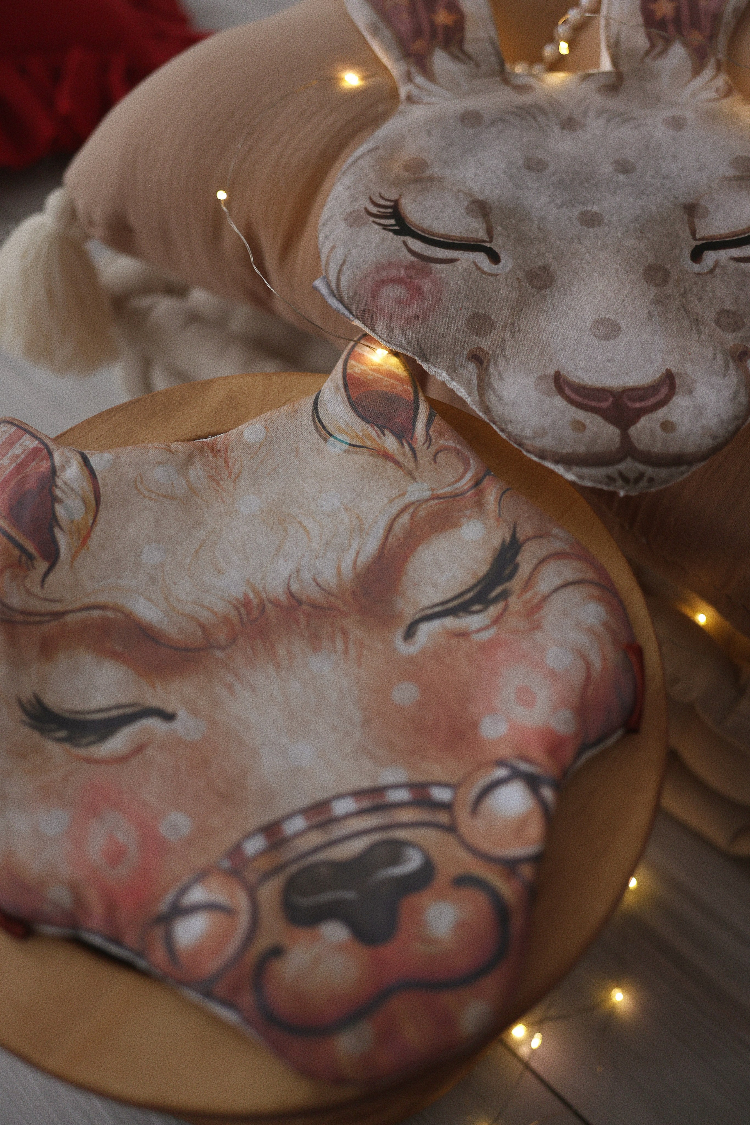 Летт Лофт. Фотограф г. Хабаровск. Семейные и индивидуальные съёмки