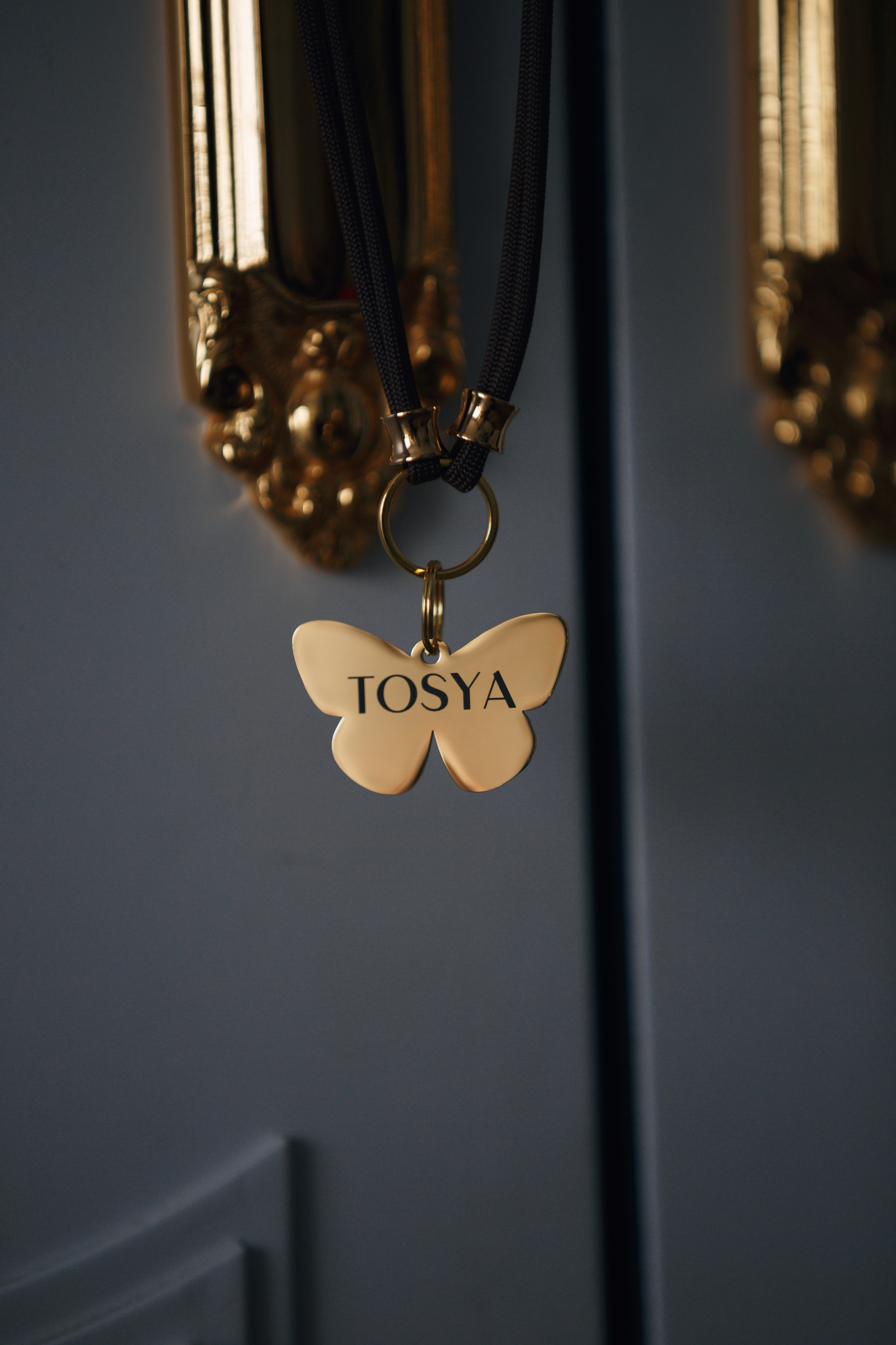 Bmbh лежанки и адресники. Фотограф анималист Кристина Карпова, Москва