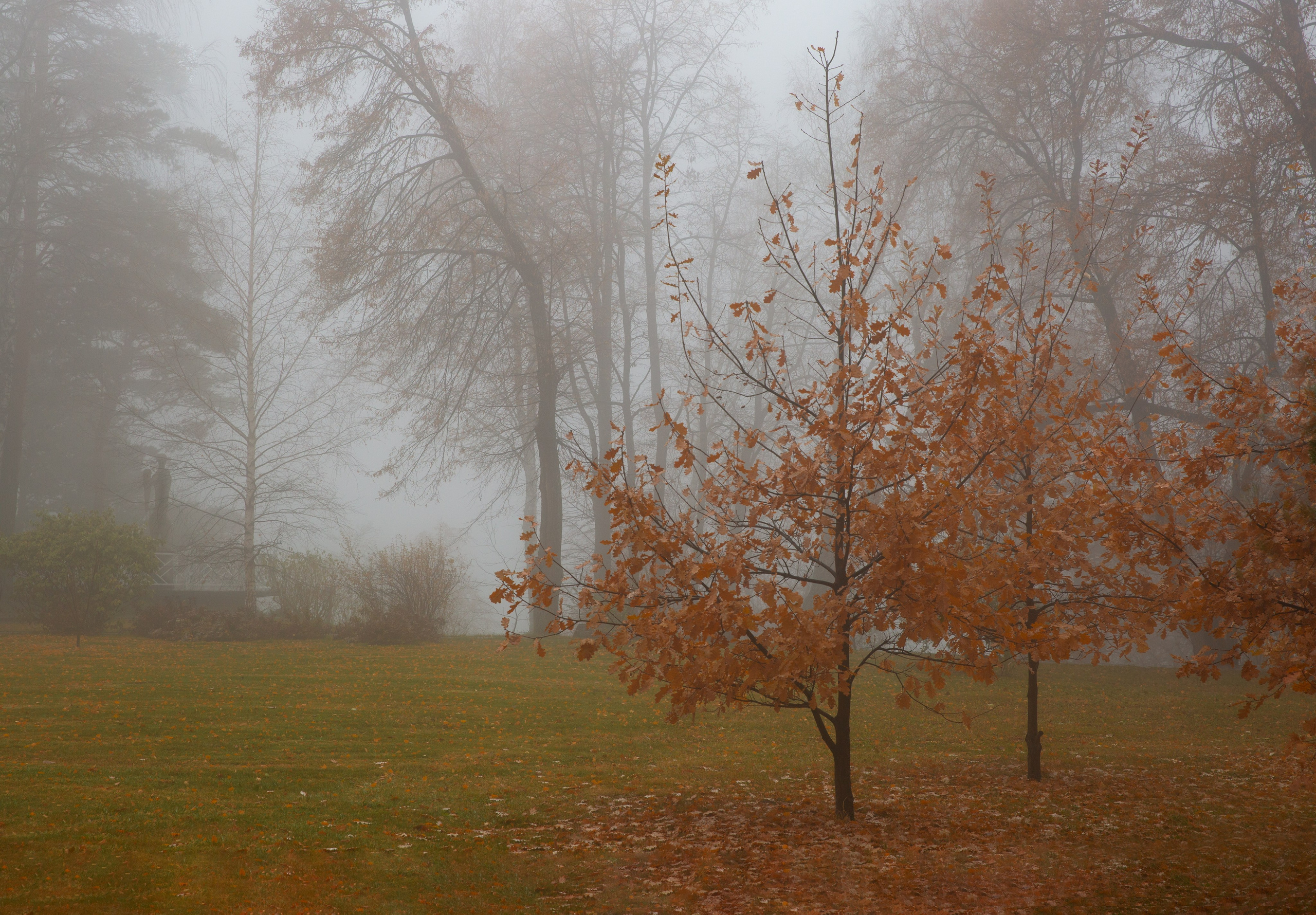 Тобольск. Мой фотомир