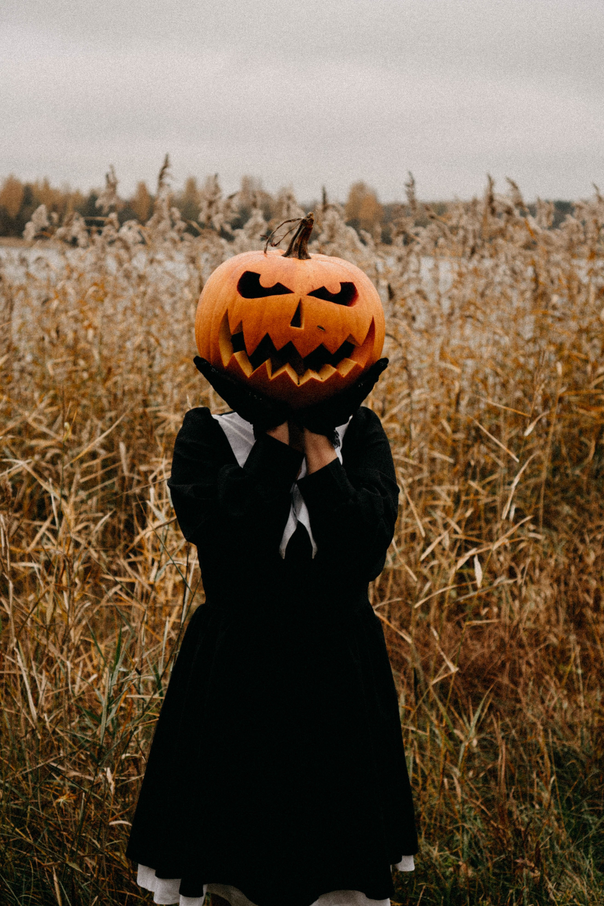 Осеняя. Профессиональный фотограф, Санкт-Петербург — Виктория Богомолова