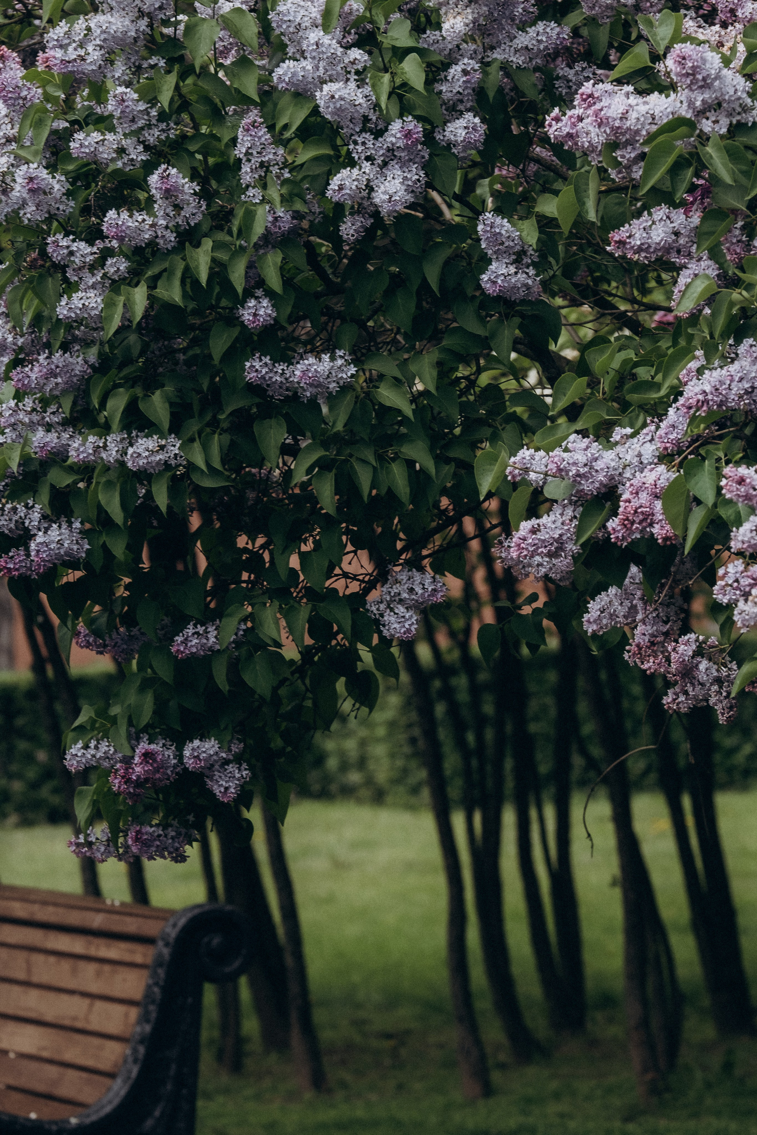 ПРОГУЛКА В МИНСКЕ. Профессиональный фотограф, Санкт-Петербург — Виктория Богомолова