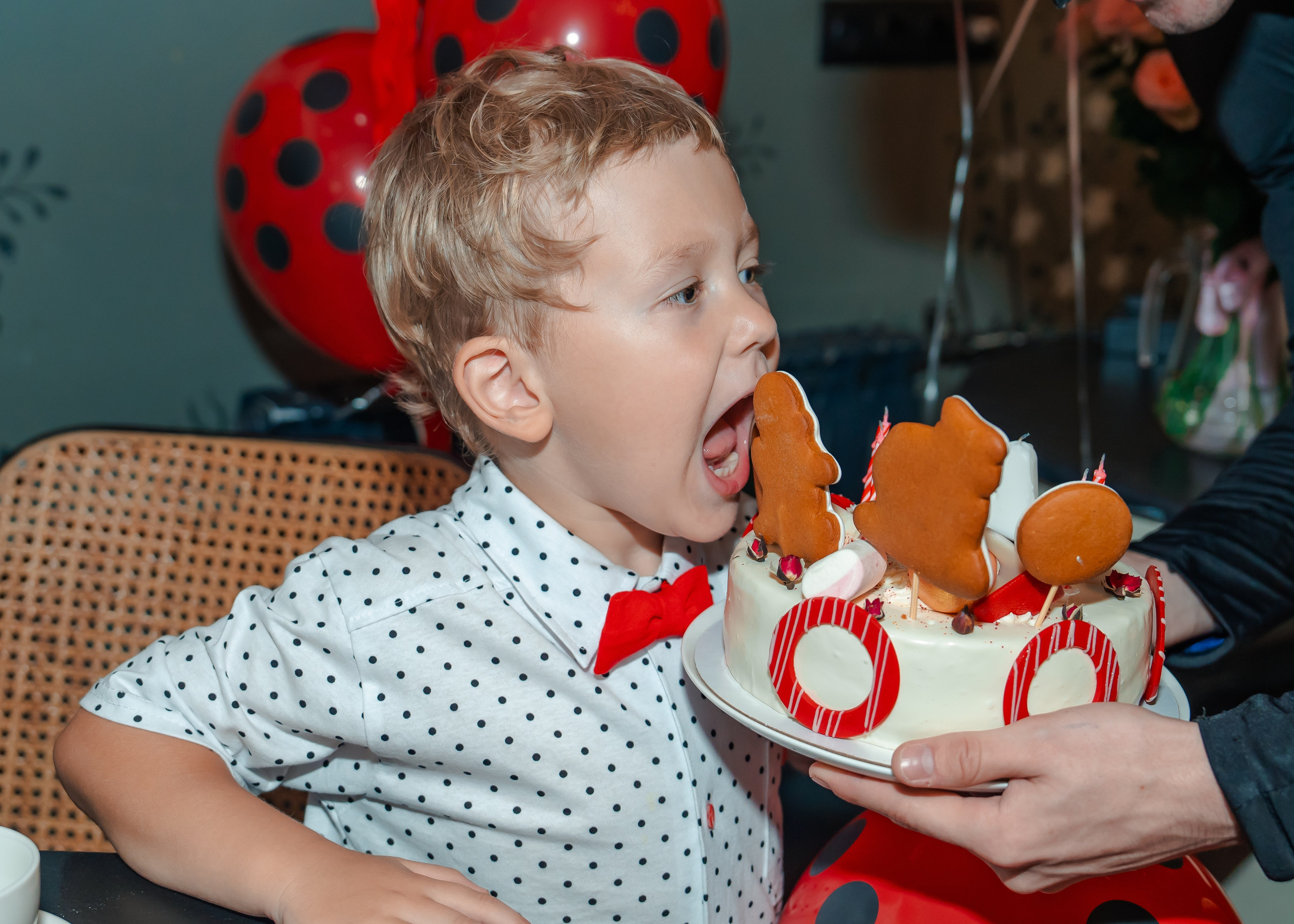 4 причины улыбаться!. Крамер Юлиана детский и семейный фотограф