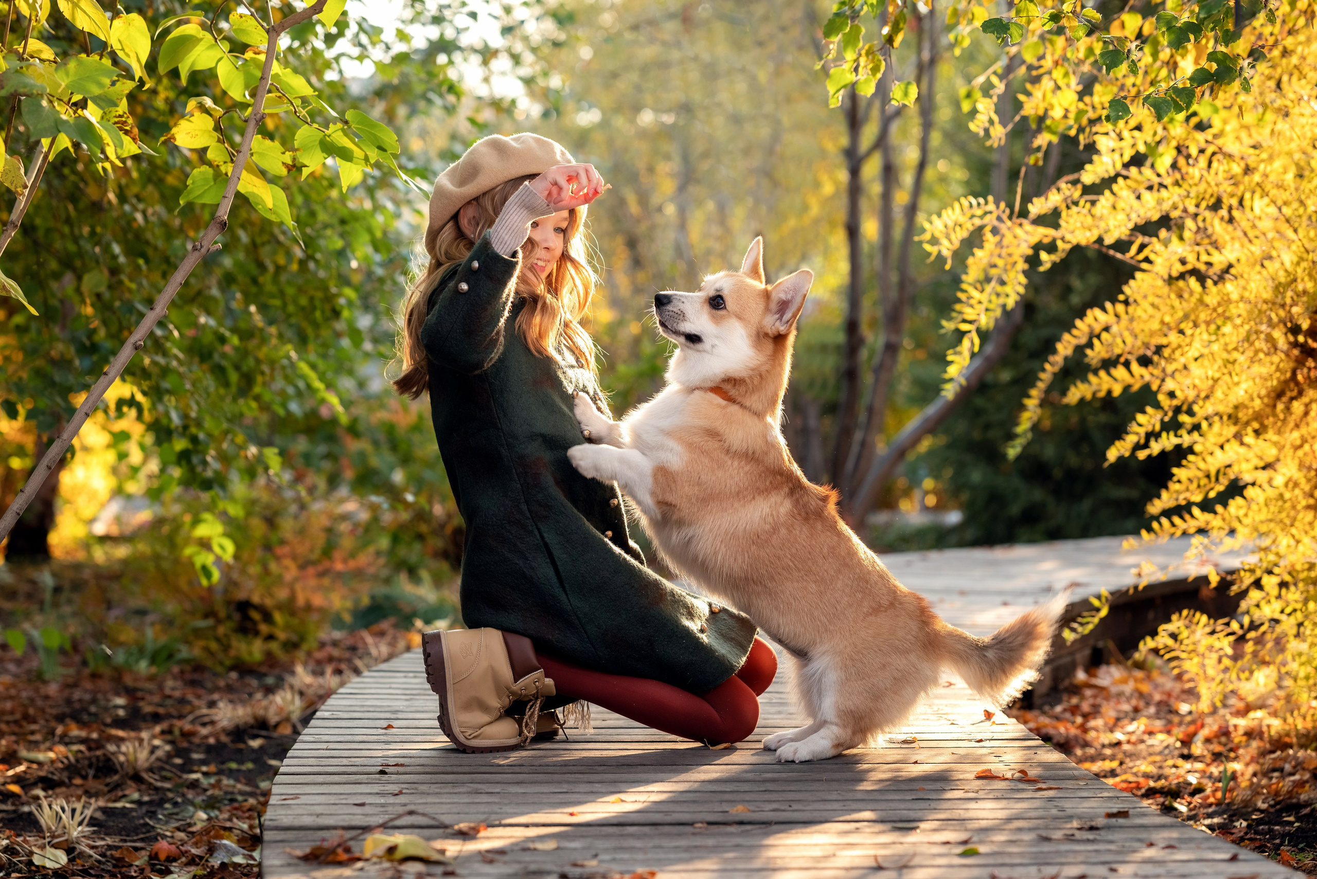 Валерия и корги. Осення прогулка. Фотограф в Тюмени Голышева Елена
