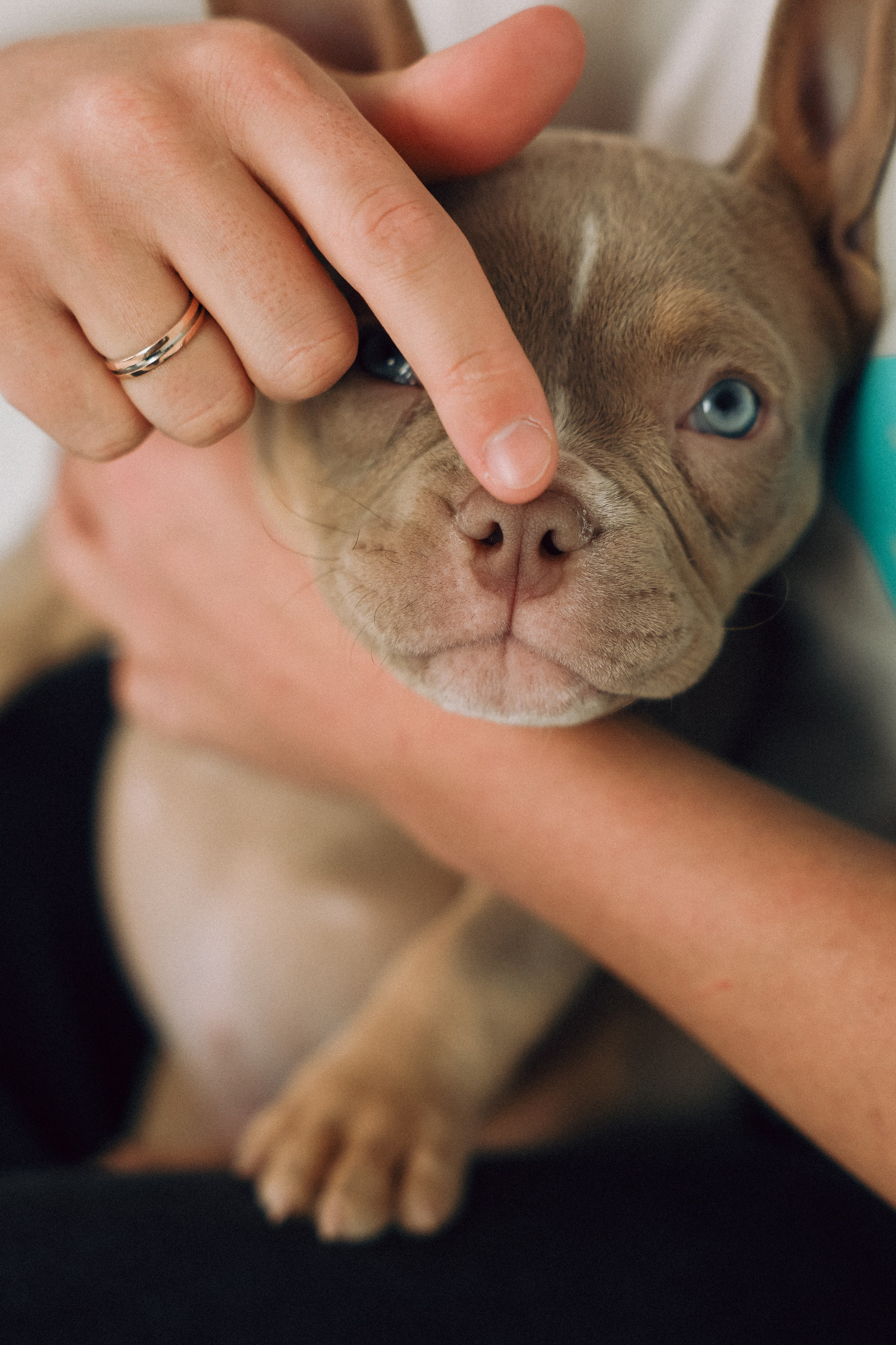 Семейная съемка с хвостиком. Фотограф Юлия Герасимова Иркутск
