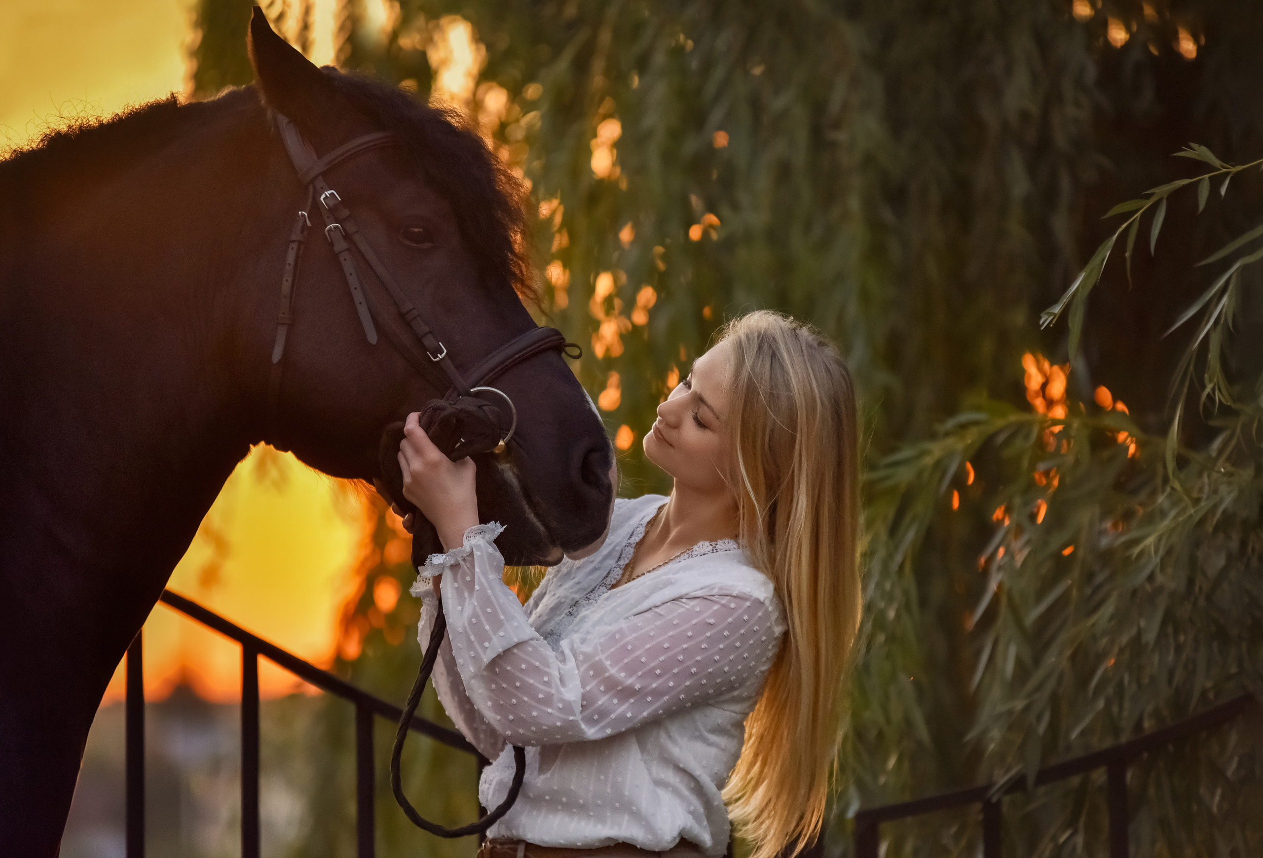 Съемки с лошадьми. Конный фотограф из Москвы Ирина Бондаркова