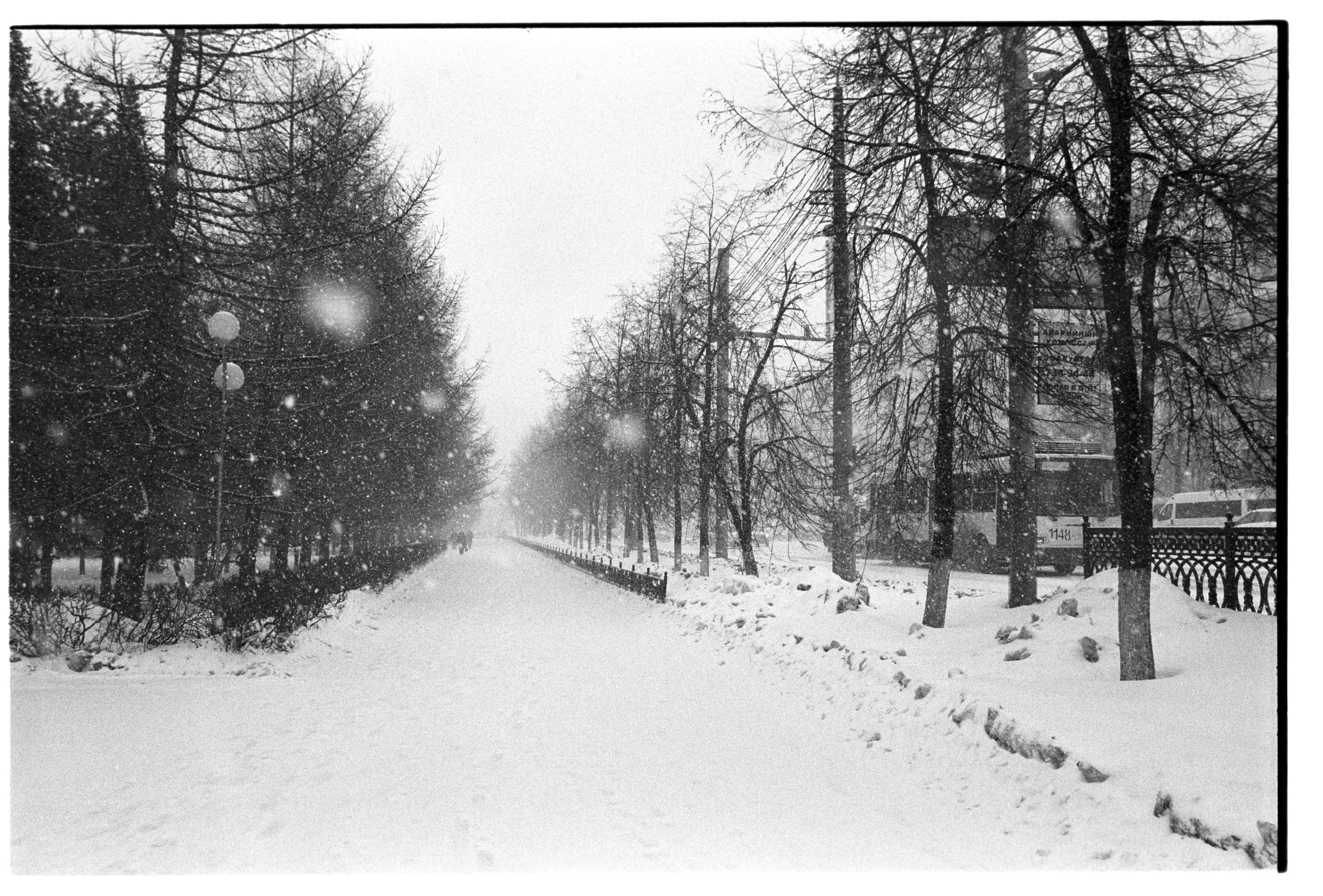 Белый. Фотограф в Санкт-Петербурге Березовский Даниил
