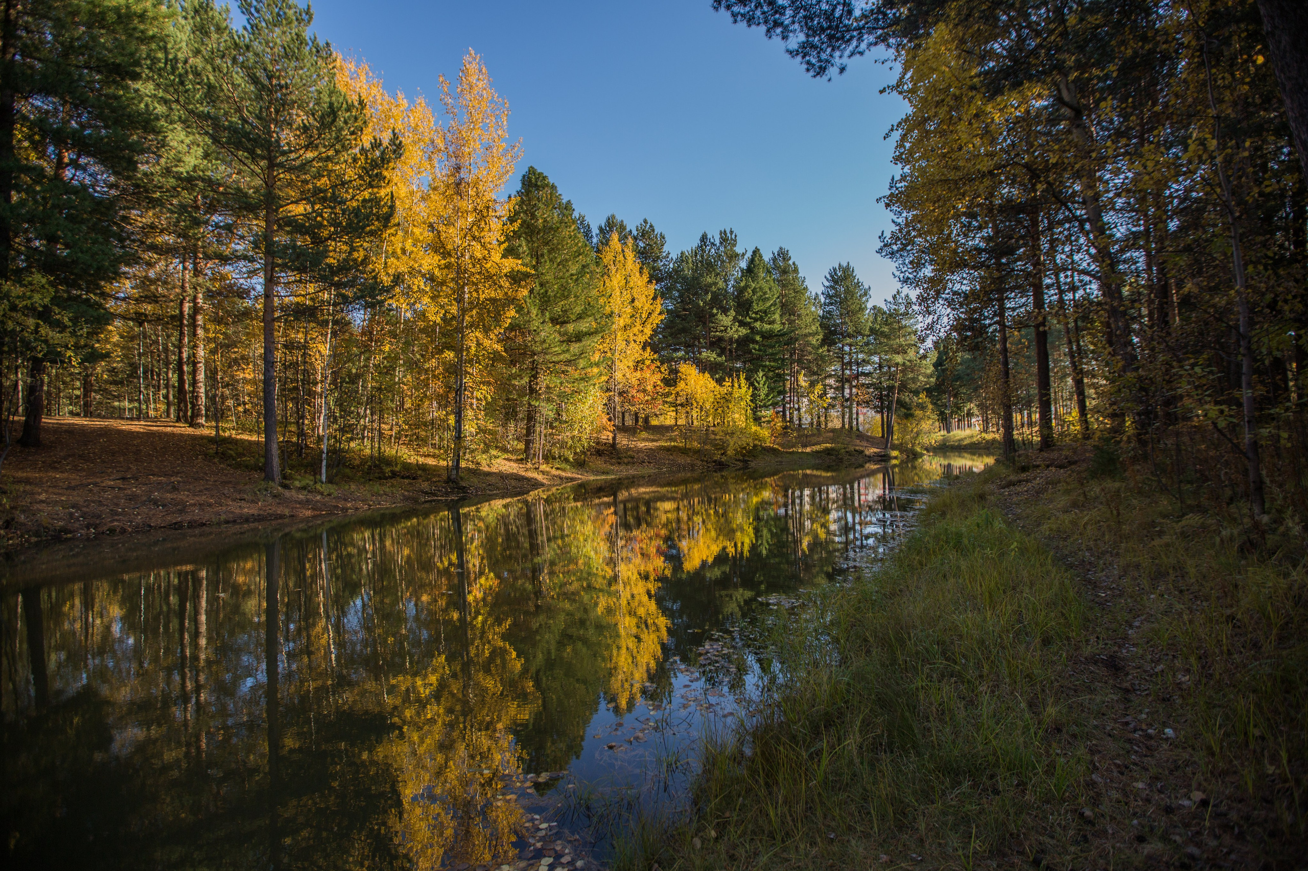 Сургут. Фотограф в г. Сургуте Марина Киприна