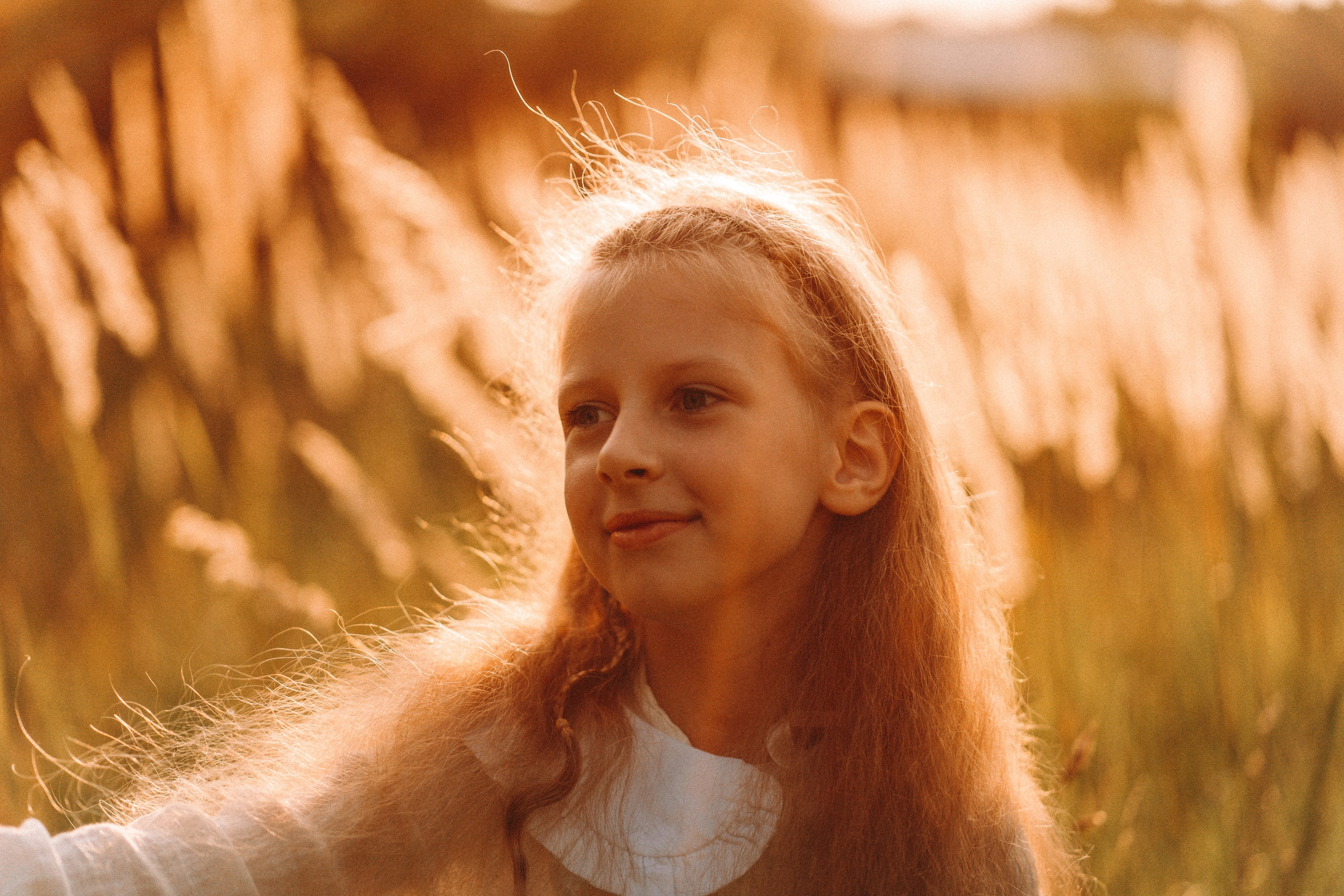 Летнее золото в волосах. Главная