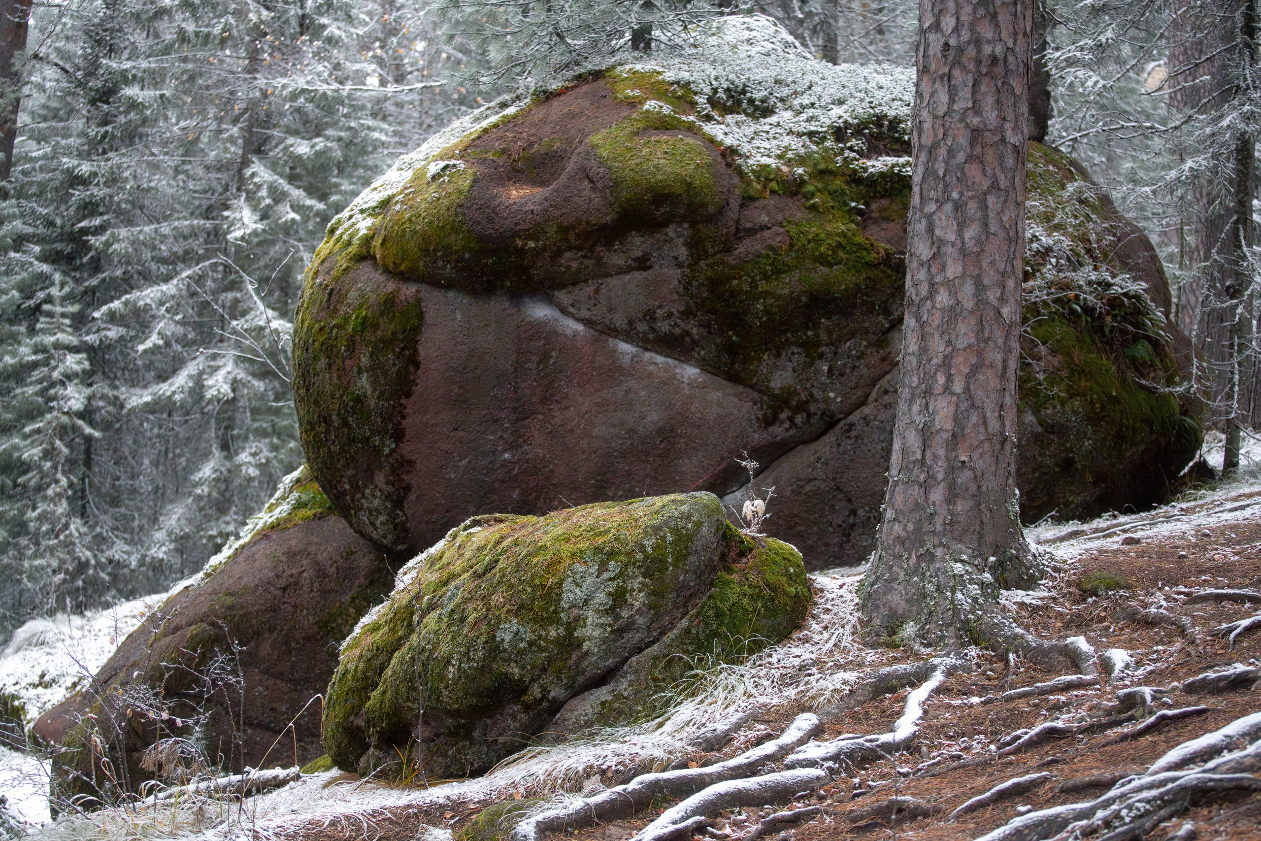 Красноярские Столбы. Фотограф в Красноярске Нерозя Александр. Пейзаж, природа, портрет