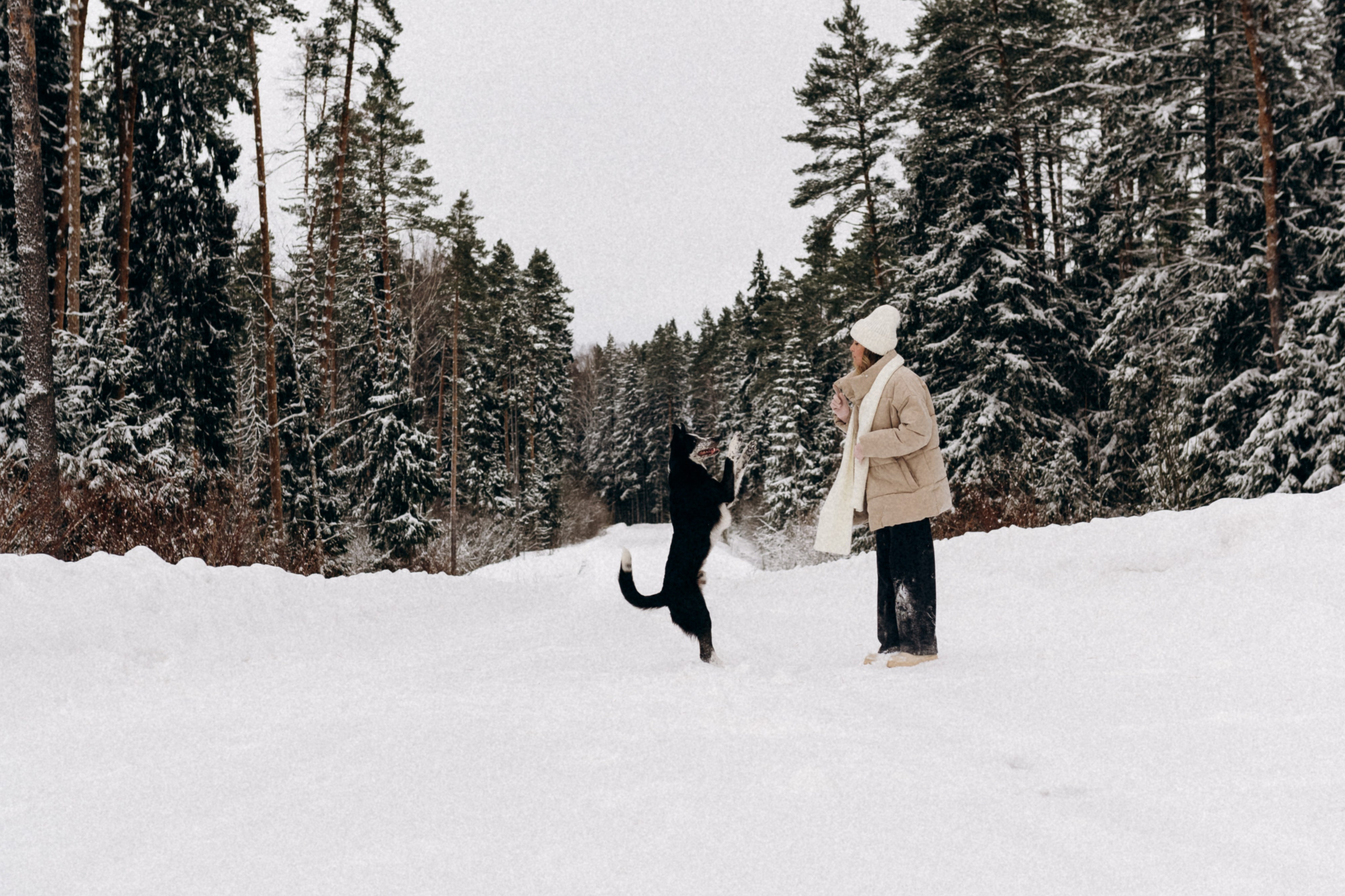 Аня и Милан. Фотограф анималист в Москве Ольга Агушева