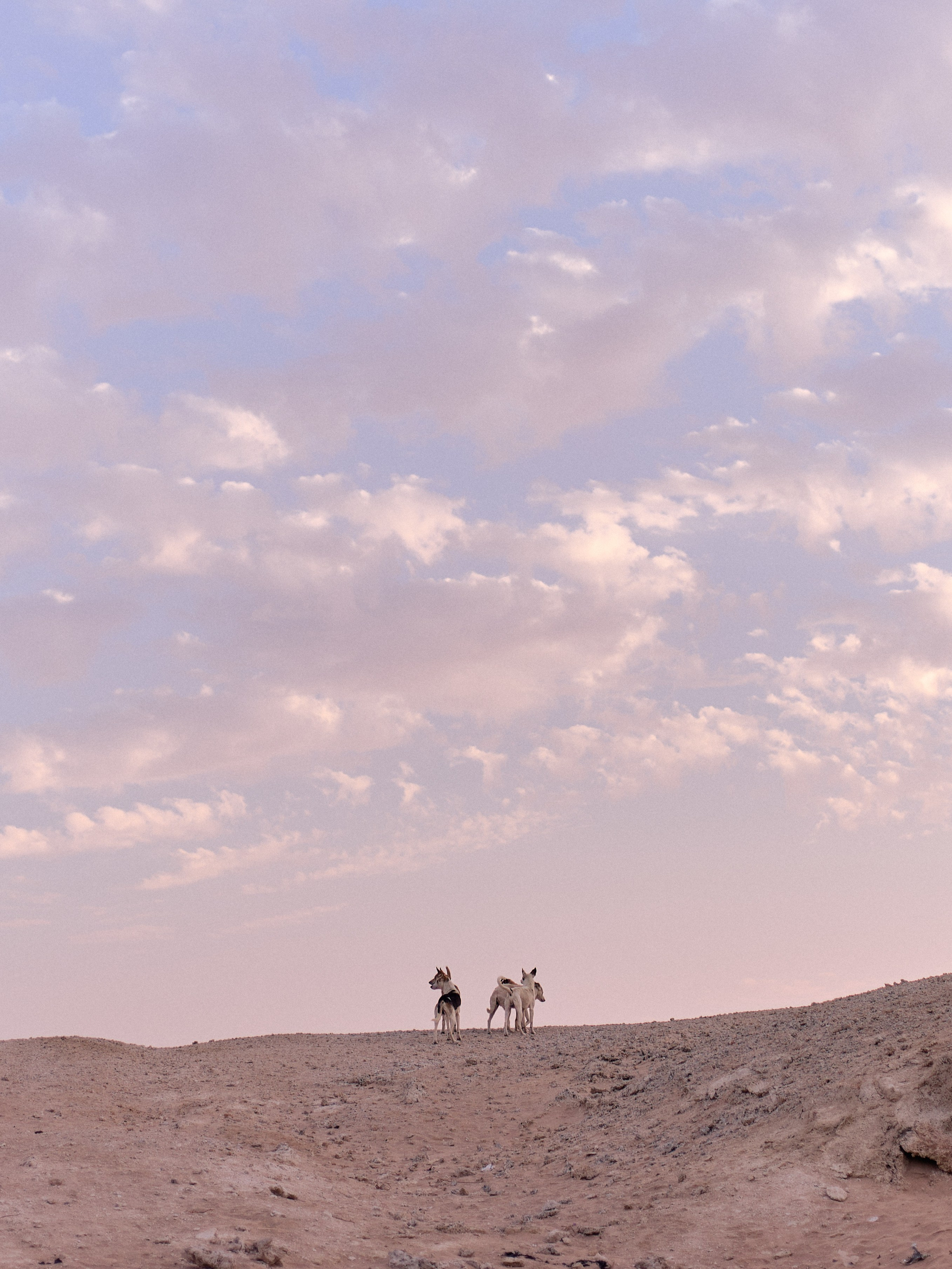 Другое 4. Jorgis — фотограф в Хургаде / обучение фотографии