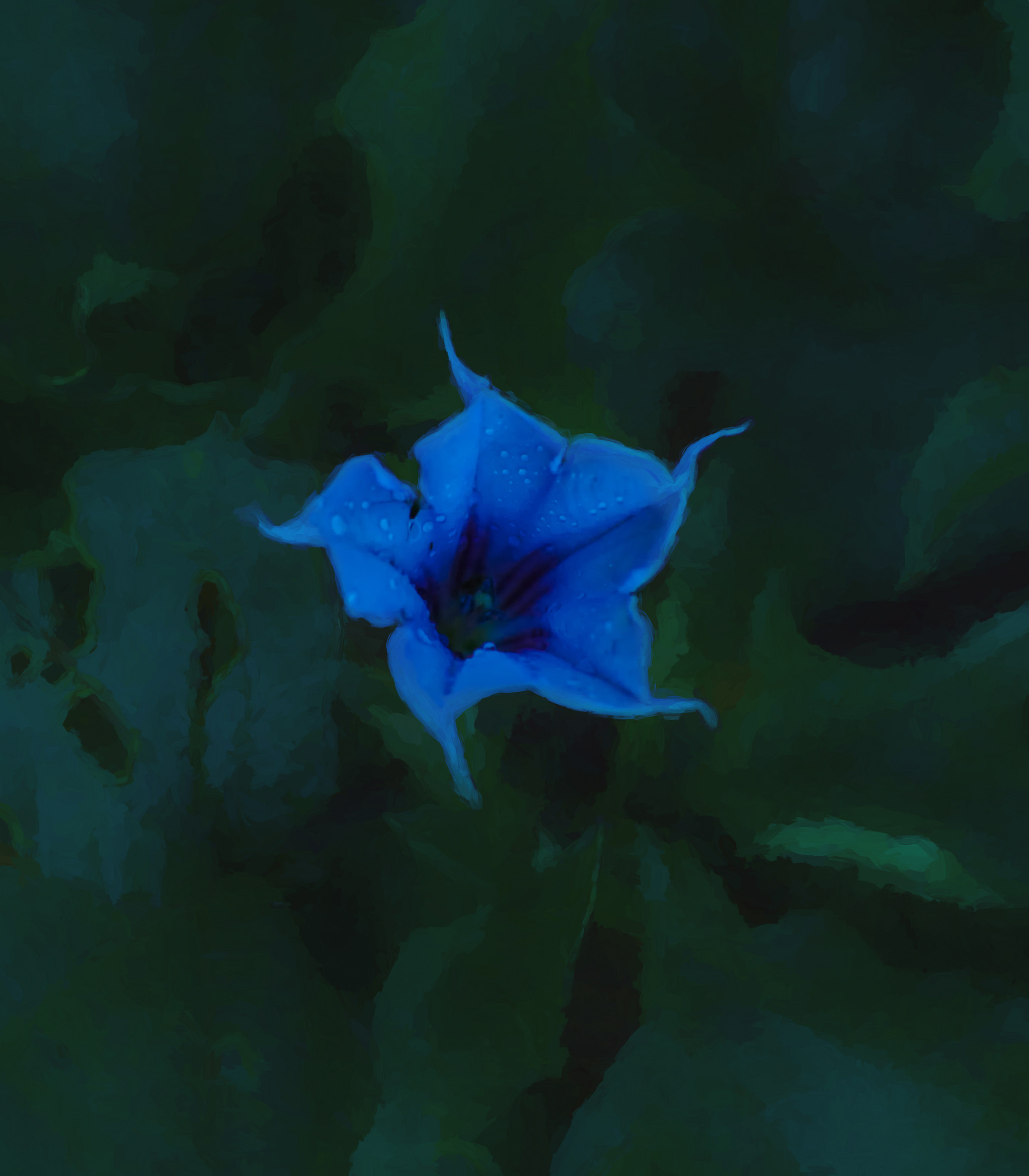 Фотокартины в Гомеле, картины в Гомеле