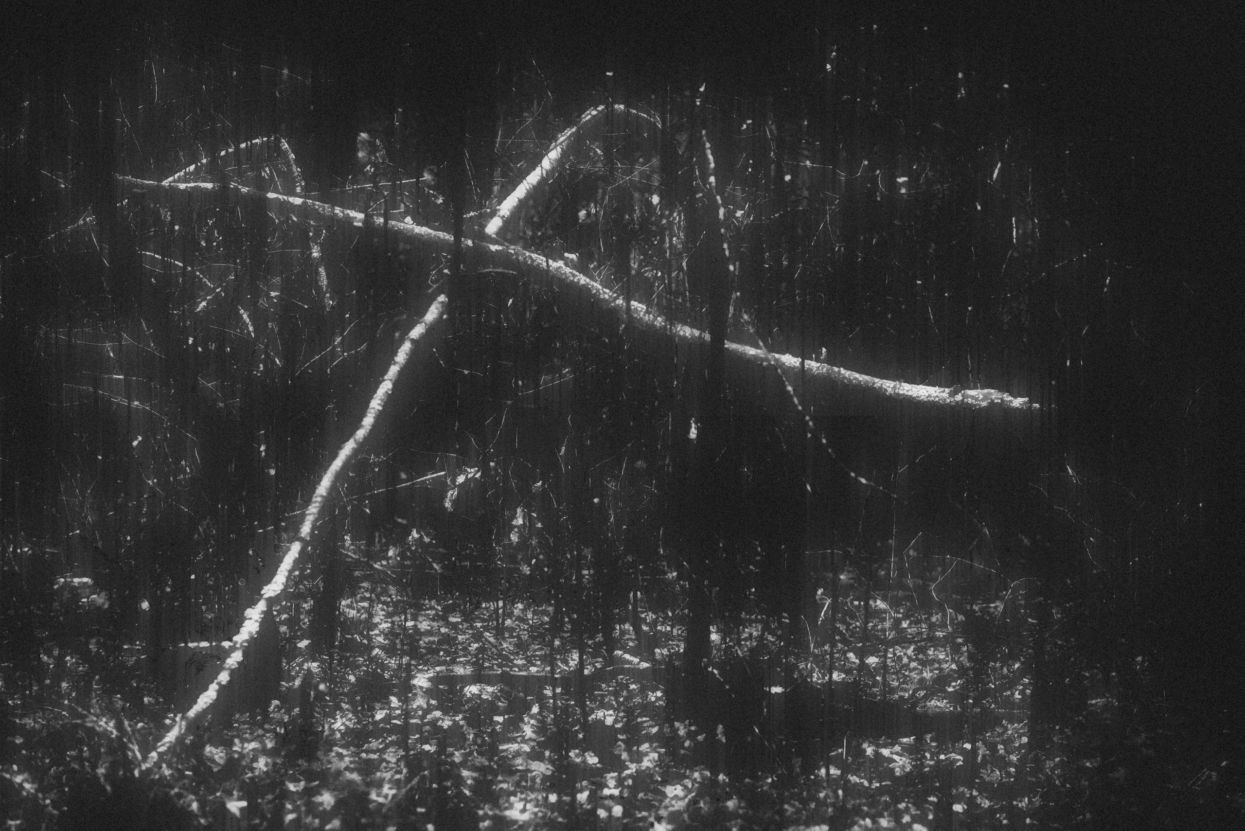 ЧБ  пейзажи (BnW landscape). Фотограф (photographer) Lischinski Vitaliy