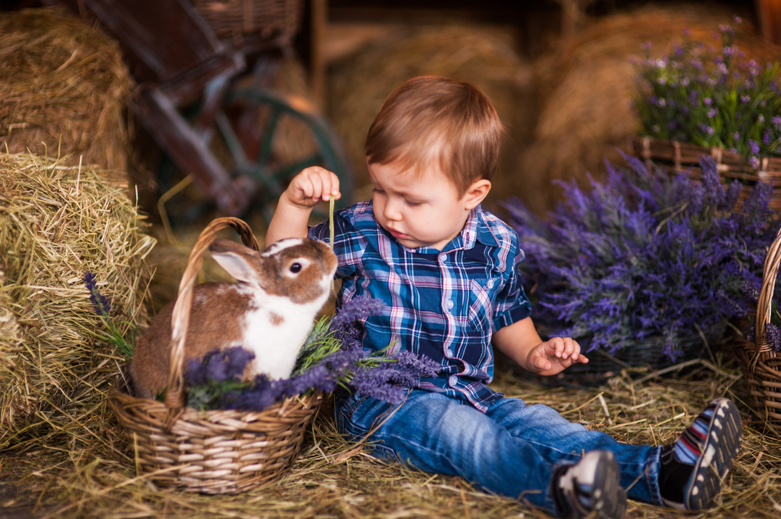 Семейная и детская фотосъёмка с профессиональным фотографом