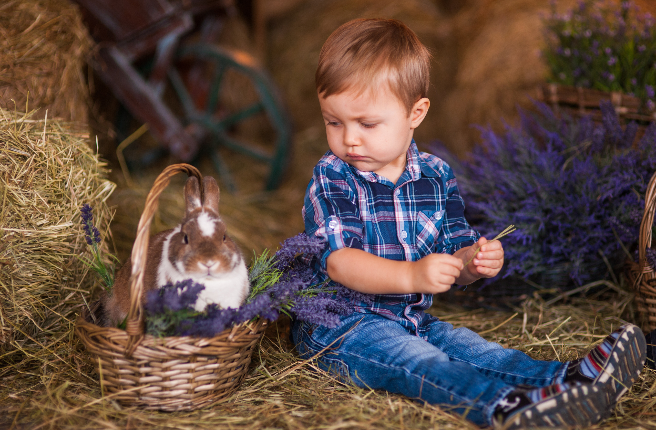 Семейная и детская фотосъёмка с профессиональным фотографом