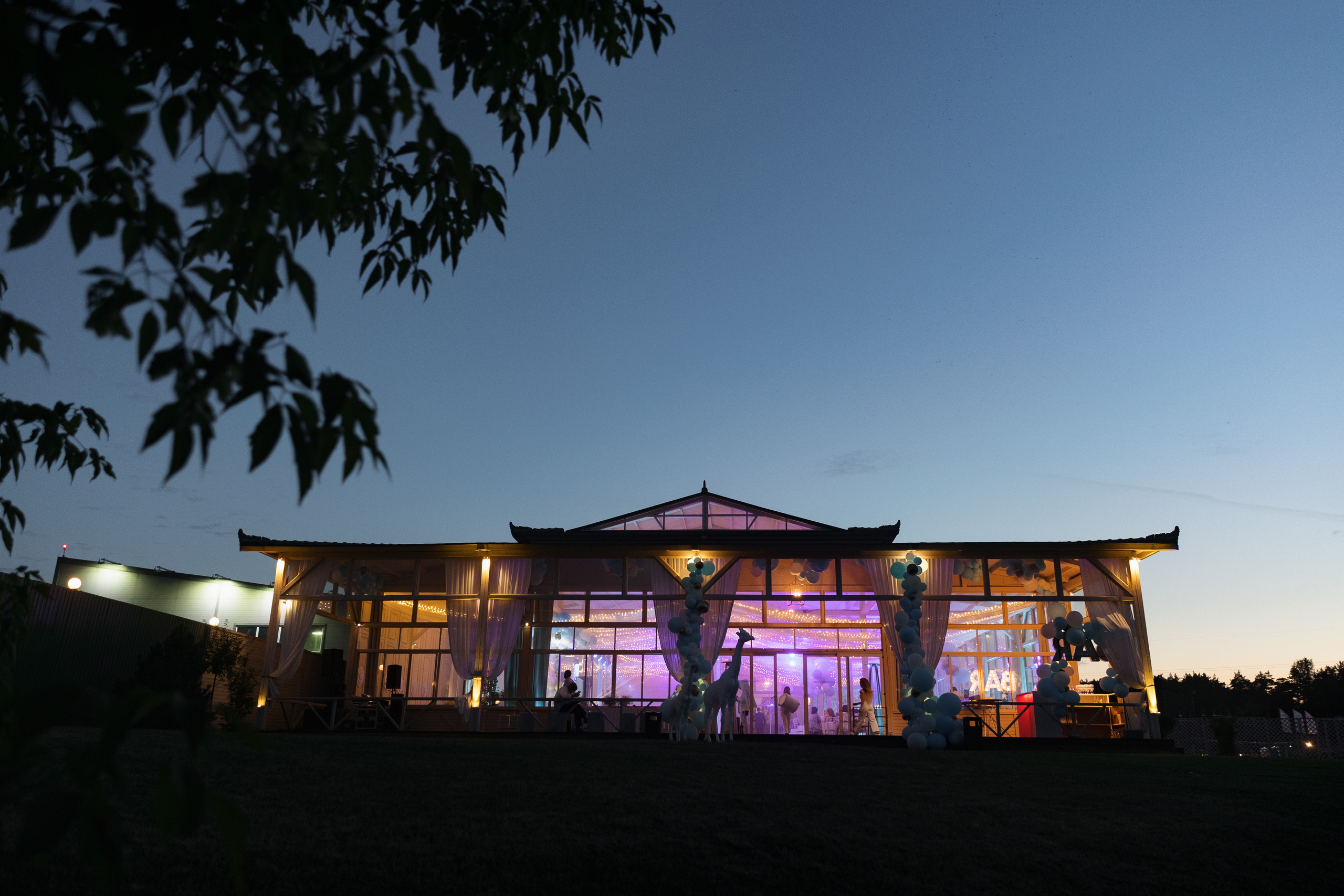 День рождения ЛЕО 1 год в Soho Country Club